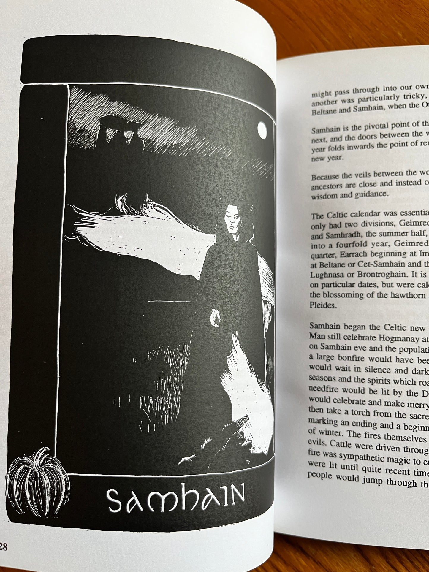 Pagan Feasts: Seasonal Food for the Eight Festivals - Anna Franklin & Sue Phillips (First Edition)
