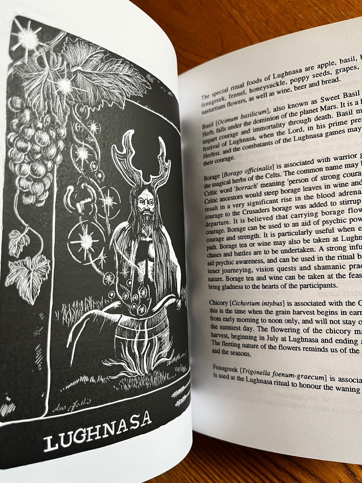 Pagan Feasts: Seasonal Food for the Eight Festivals - Anna Franklin & Sue Phillips (First Edition)