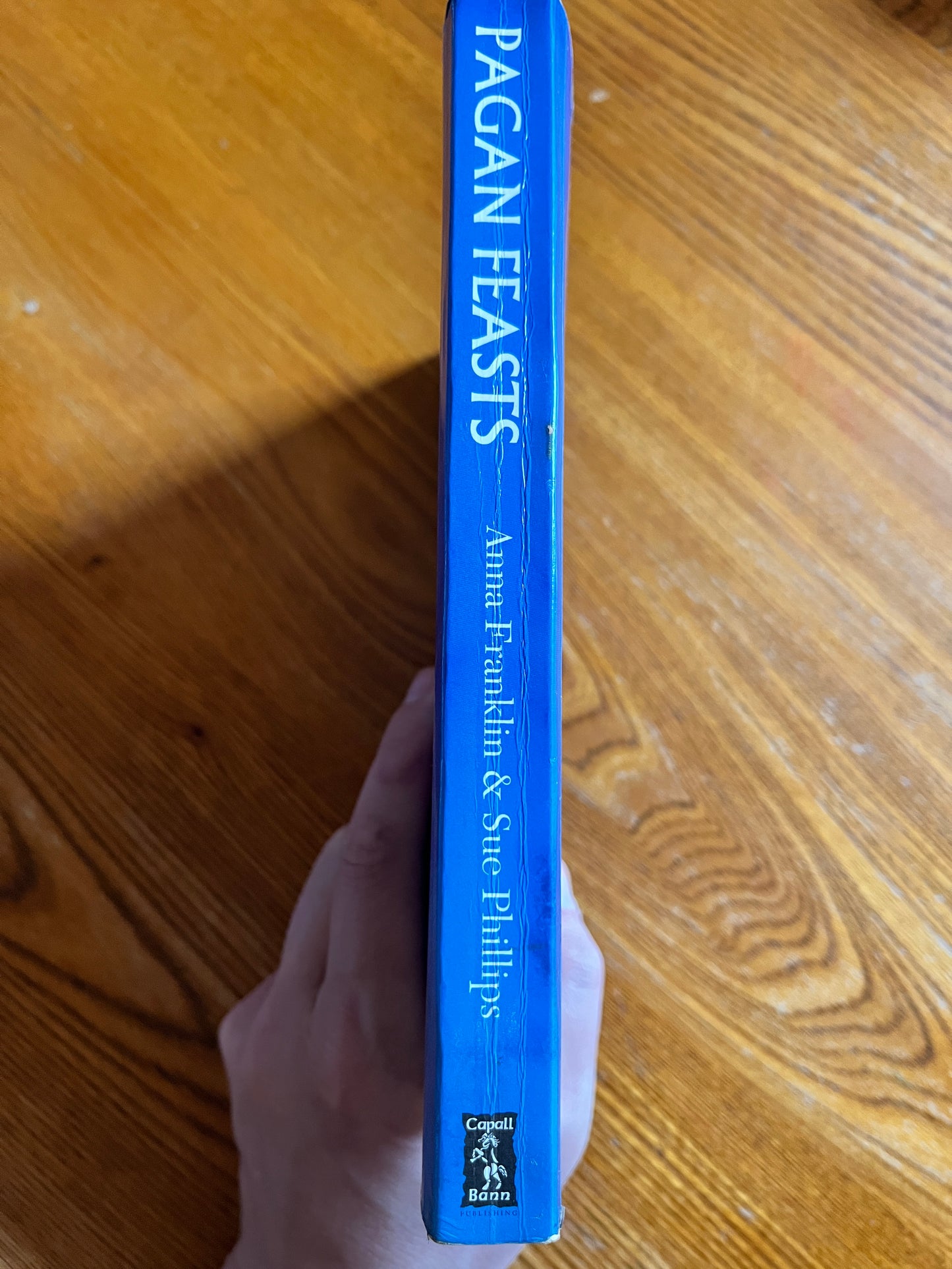 Pagan Feasts: Seasonal Food for the Eight Festivals - Anna Franklin & Sue Phillips (First Edition)
