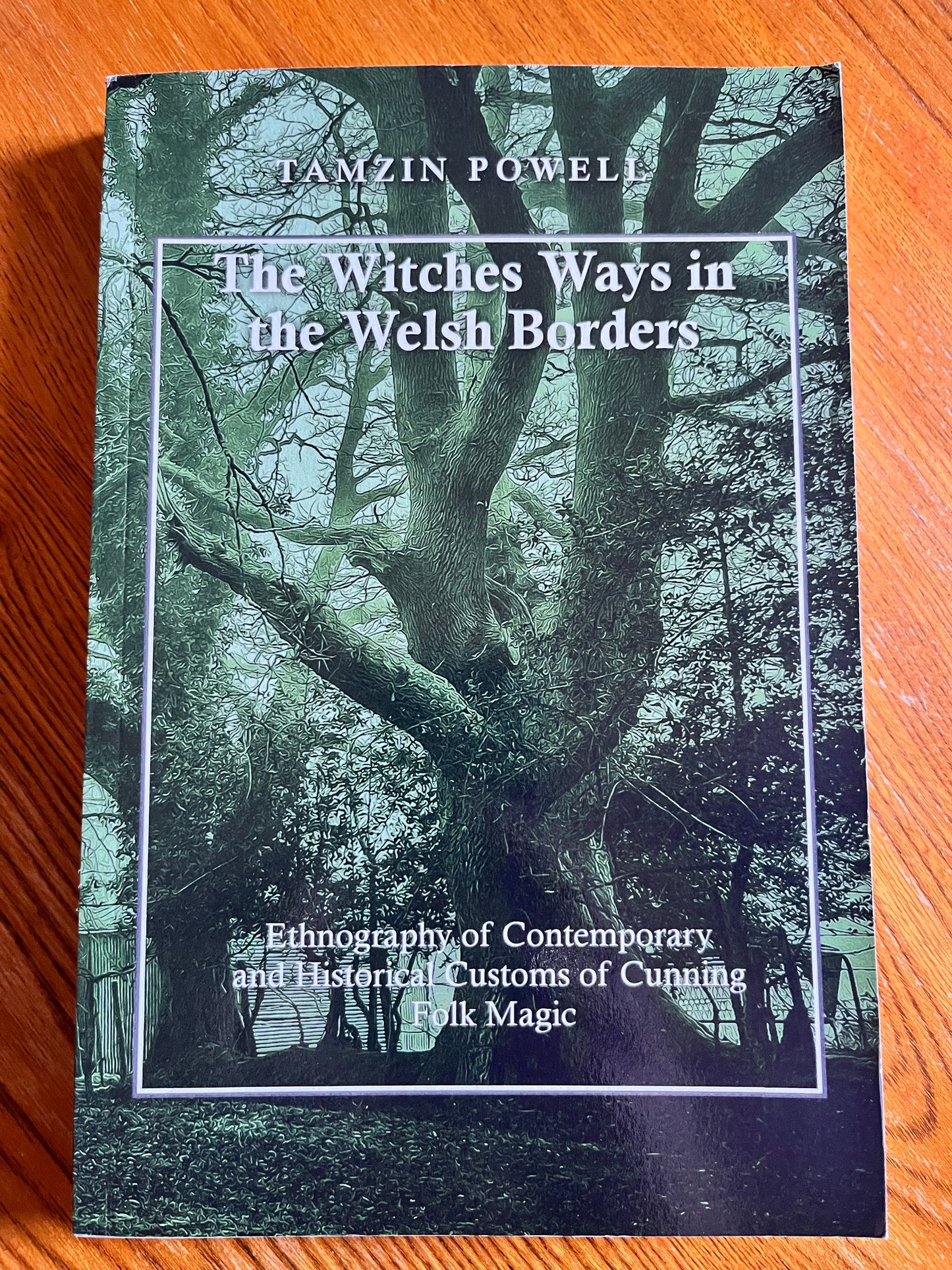 The Witches Ways in the Welsh Borders - Tamzin Powell (SIGNED First Edition)