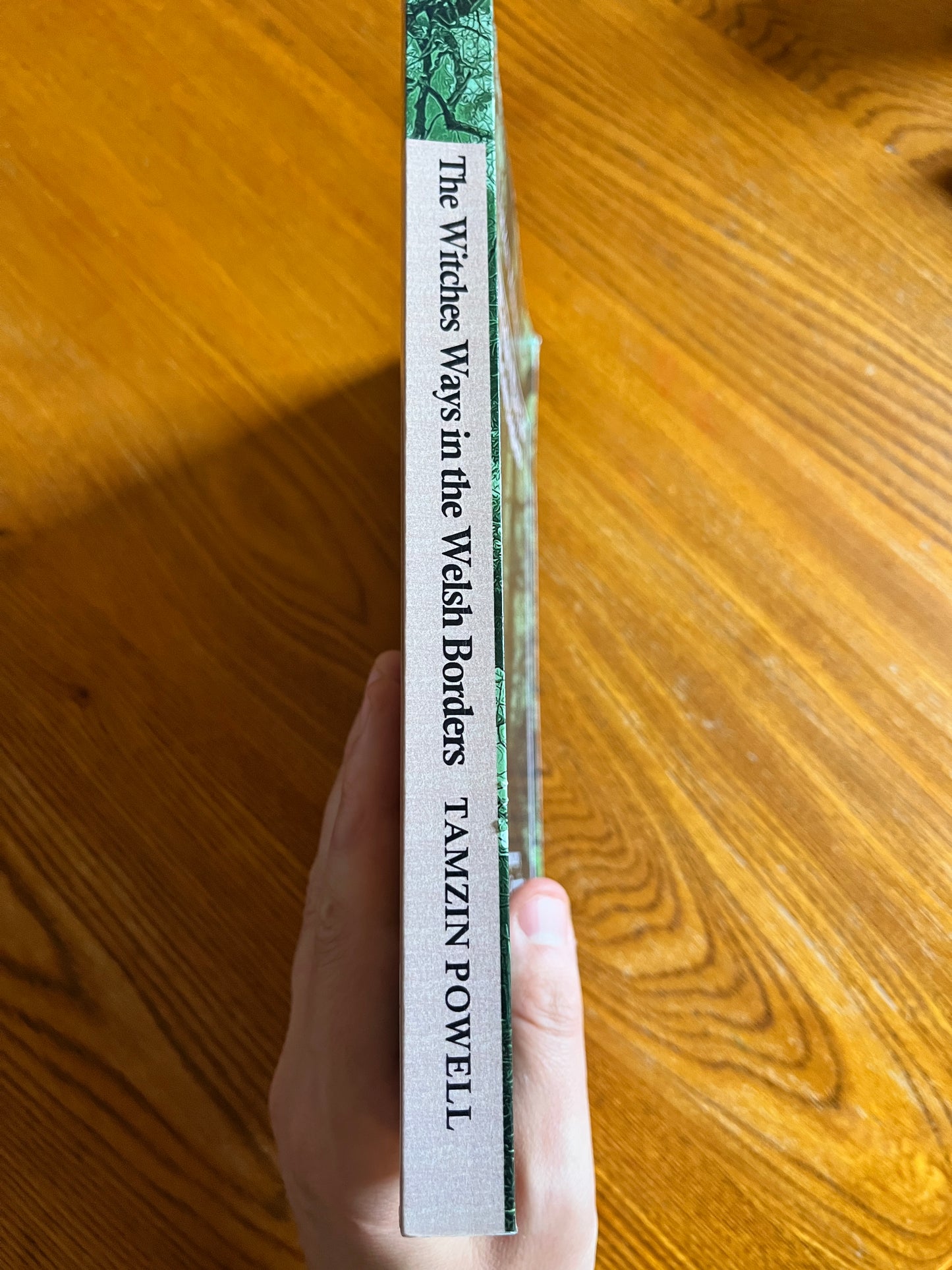 The Witches Ways in the Welsh Borders - Tamzin Powell (SIGNED First Edition)
