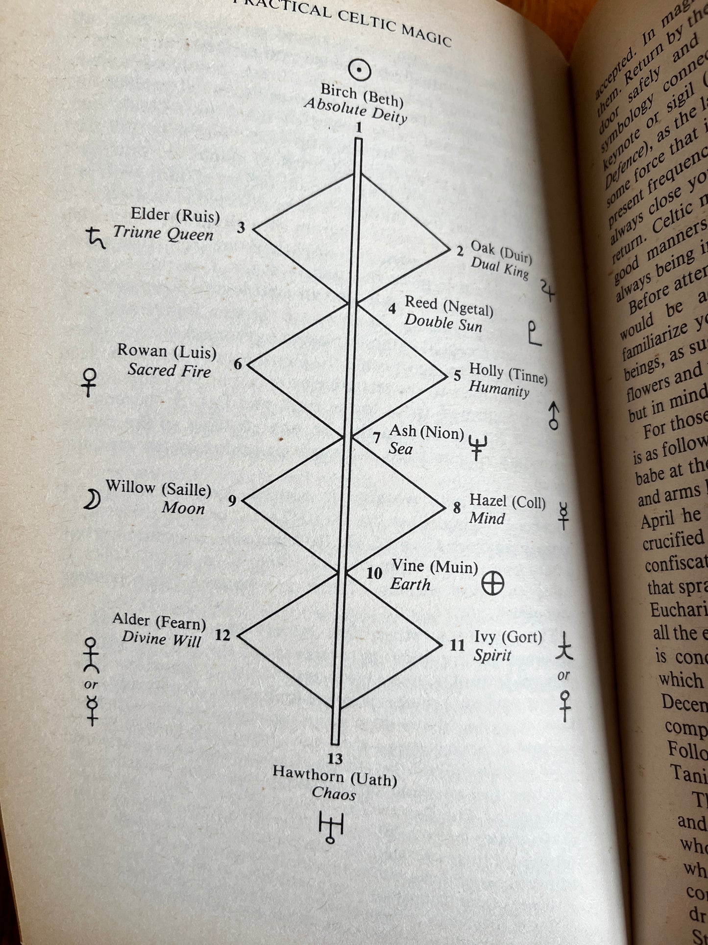 Practical Celtic Magic - Murray Hope (Hardback)