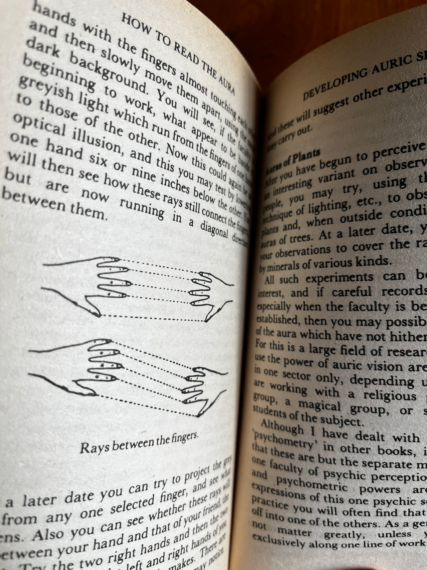How to Read the Aura - W E Butler