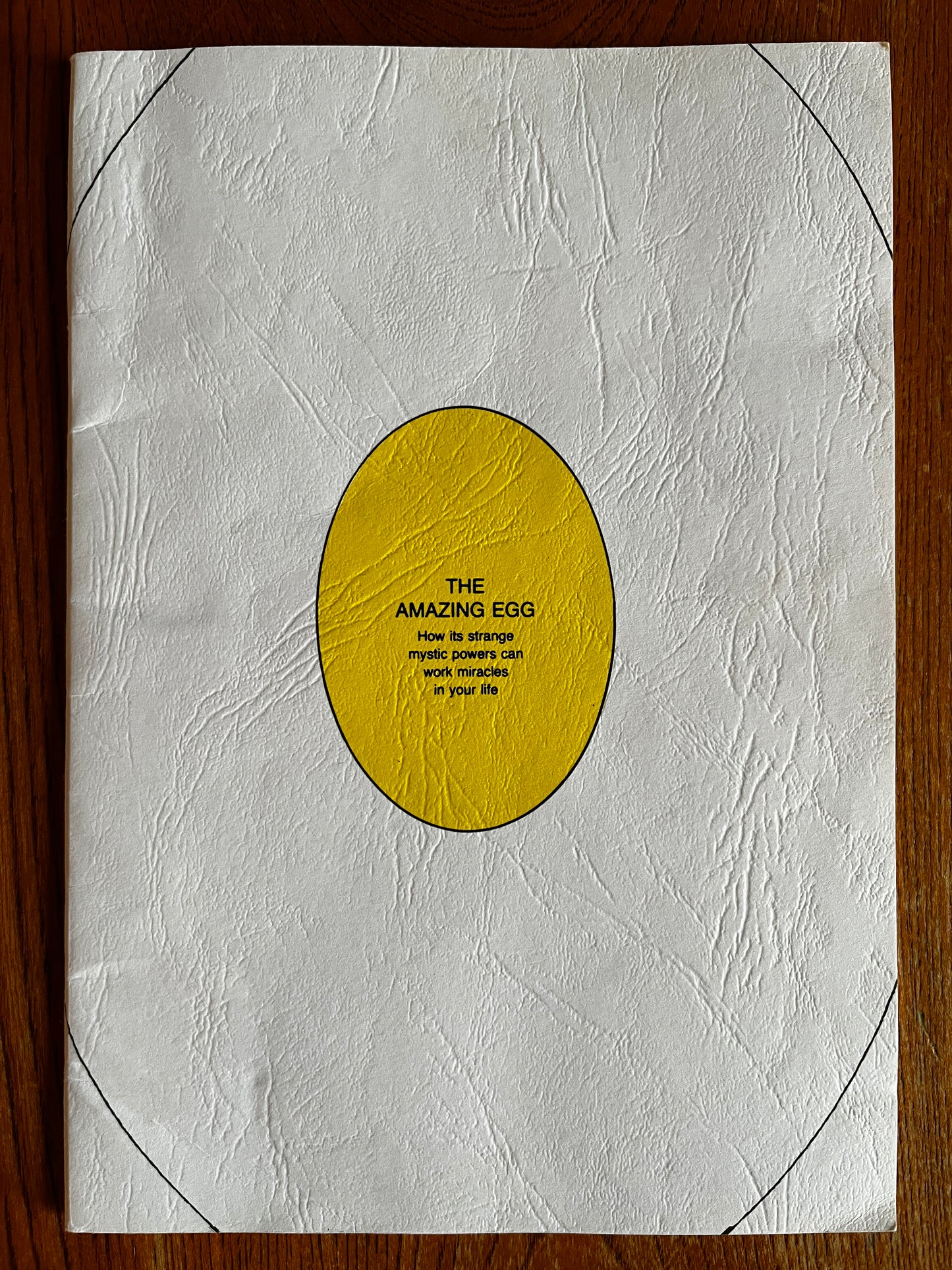 The Amazing Egg - Marcus T Bottomley (1988 First Edition)