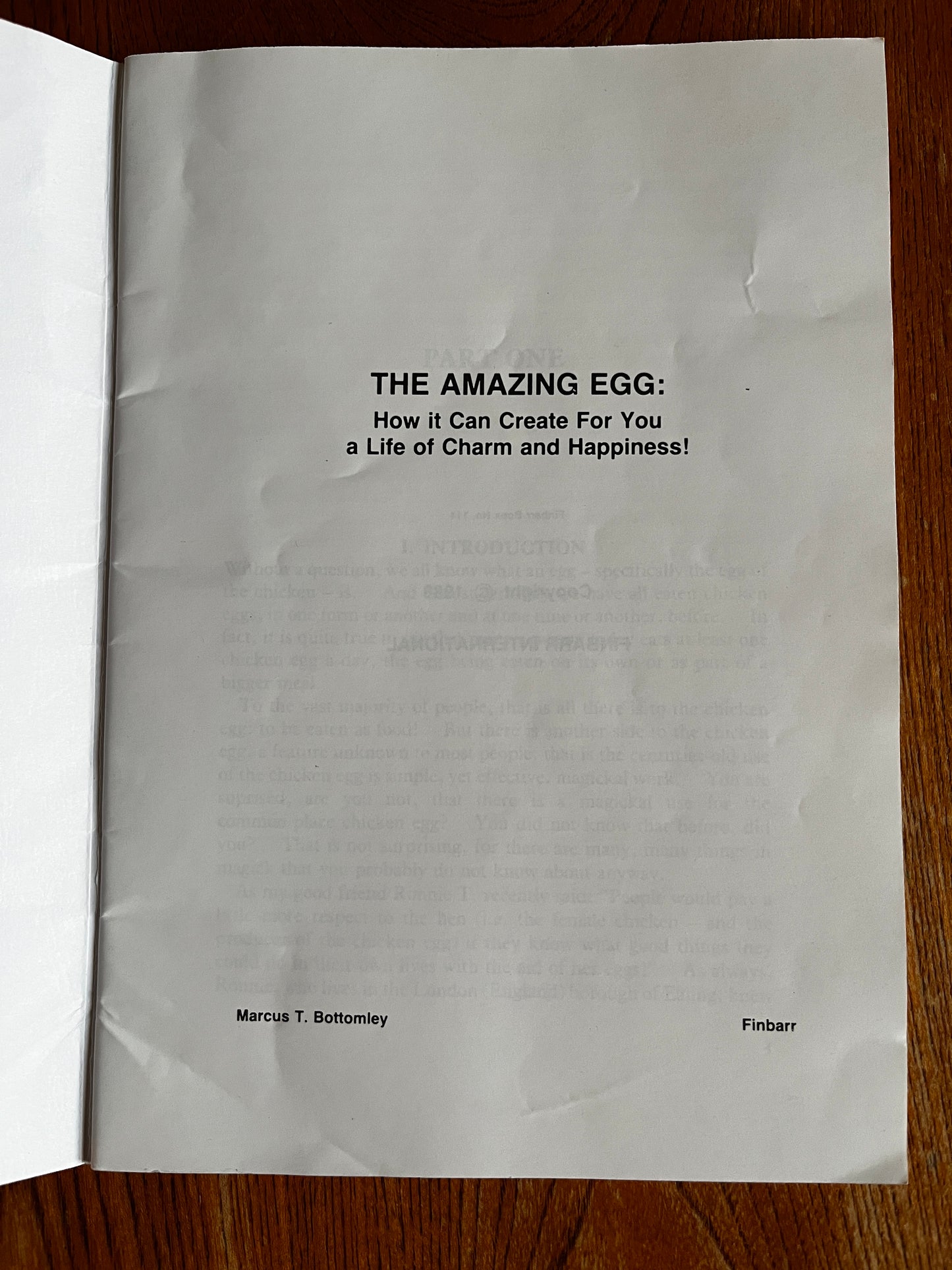 The Amazing Egg - Marcus T Bottomley (1988 First Edition)