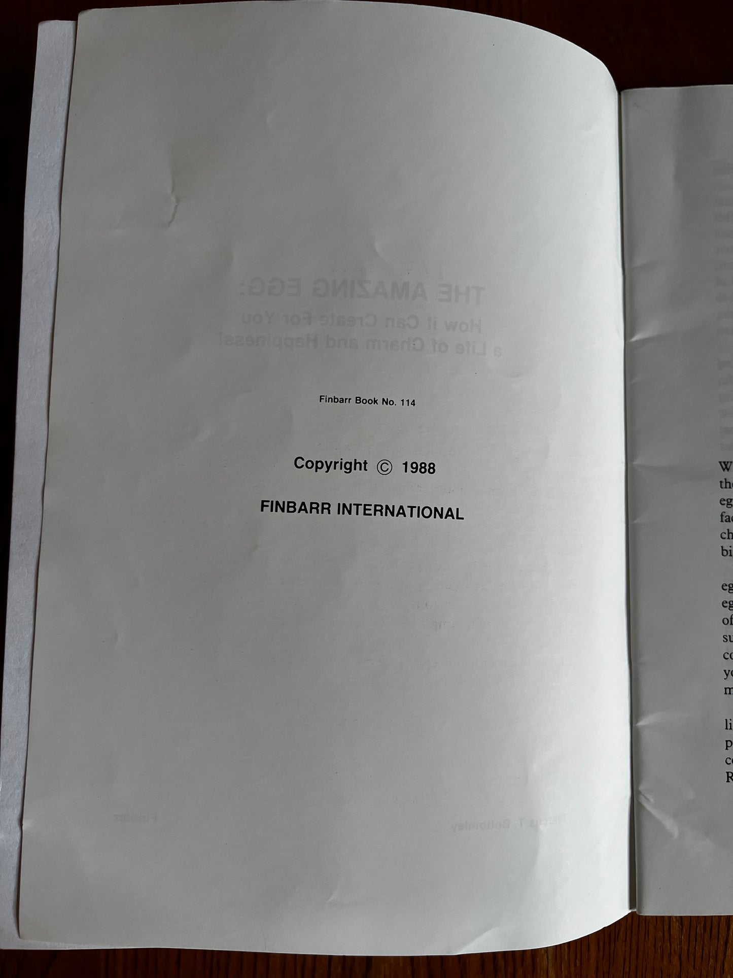 The Amazing Egg - Marcus T Bottomley (1988 First Edition)