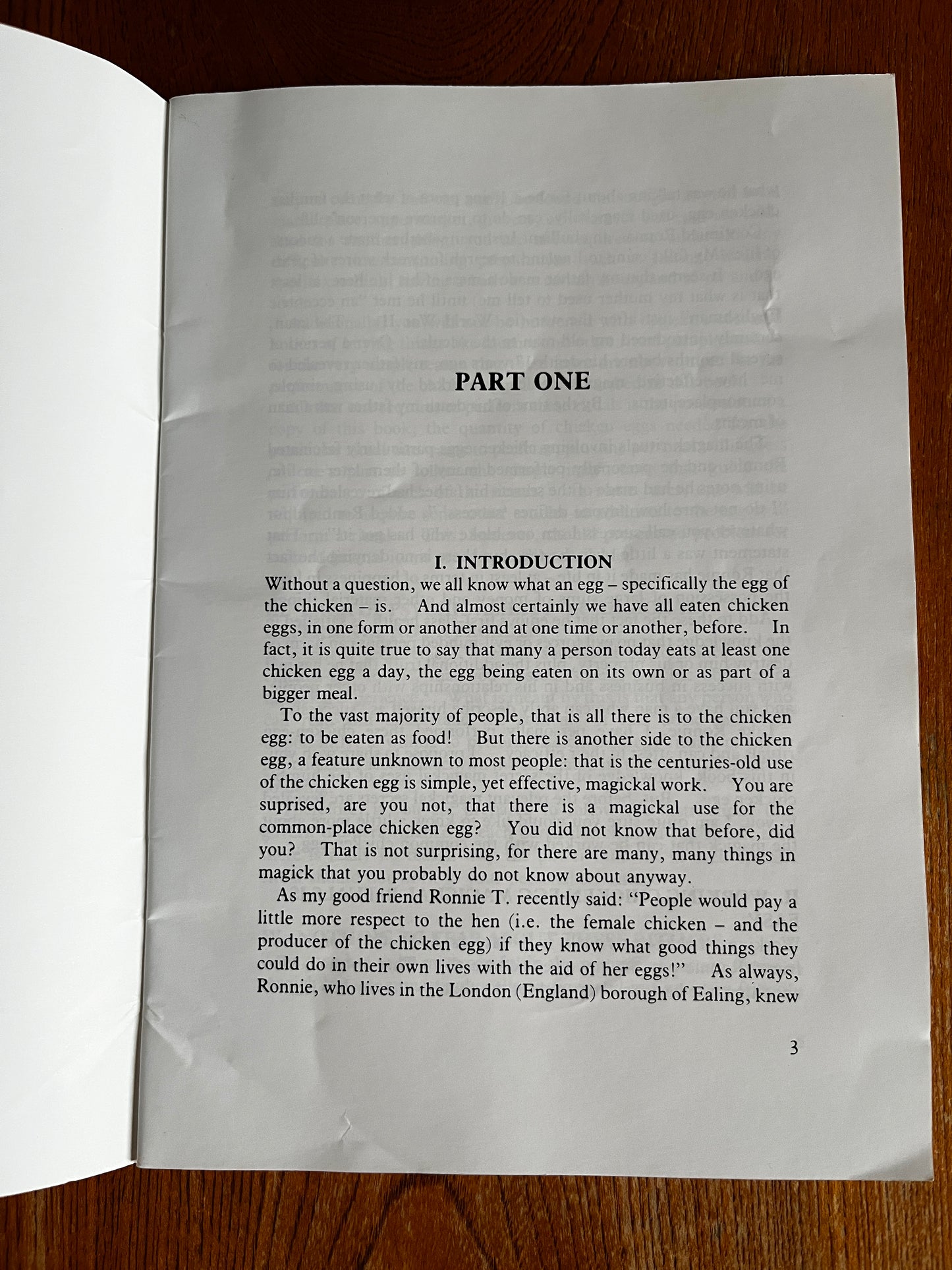 The Amazing Egg - Marcus T Bottomley (1988 First Edition)