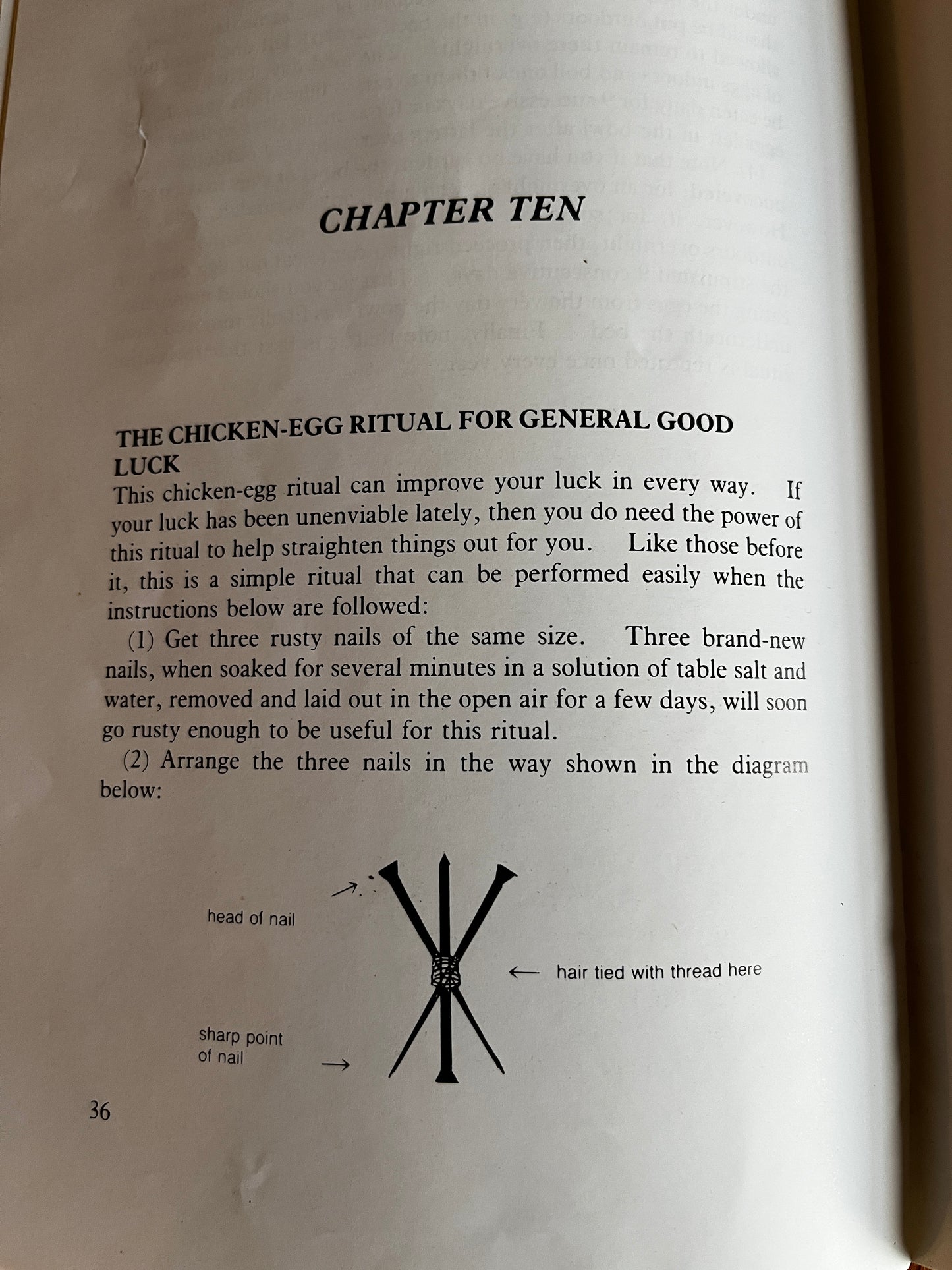 The Amazing Egg - Marcus T Bottomley (1988 First Edition)