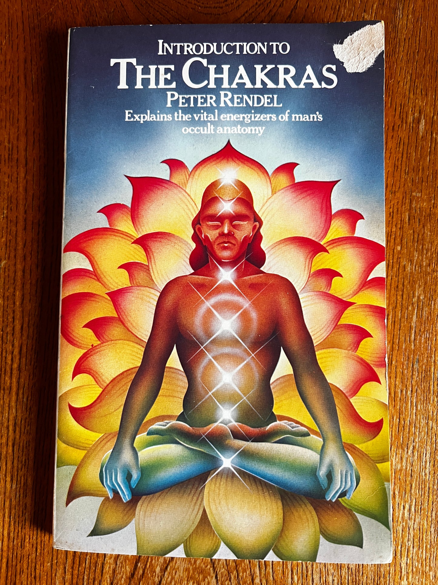 Introduction to the Chakras - Peter Rendel