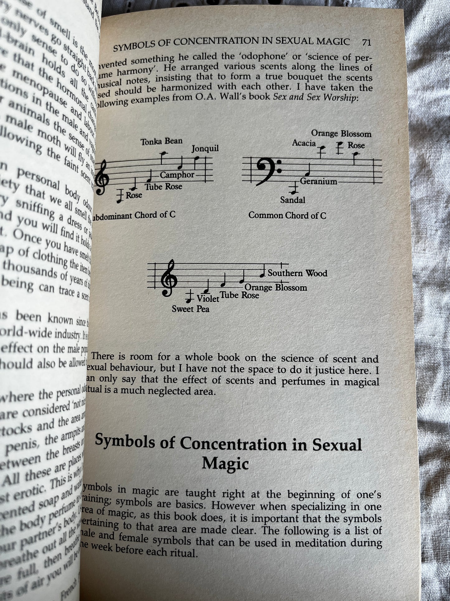 The Tree of Ecstasy: An Advanced Manual of Sexual Magic - Dolores Ashcroft-Nowicki (1991 First Edition)