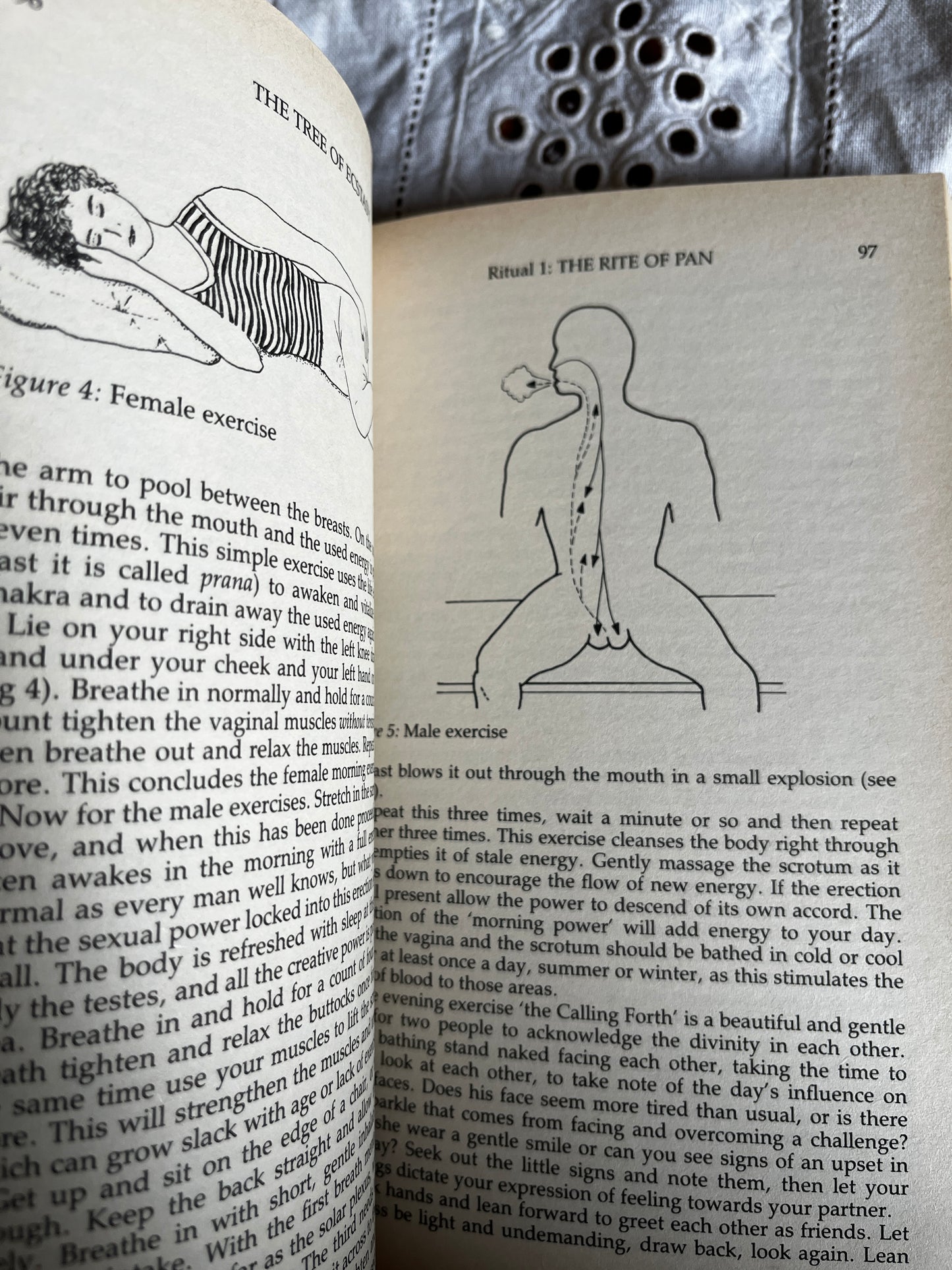 The Tree of Ecstasy: An Advanced Manual of Sexual Magic - Dolores Ashcroft-Nowicki (1991 First Edition)