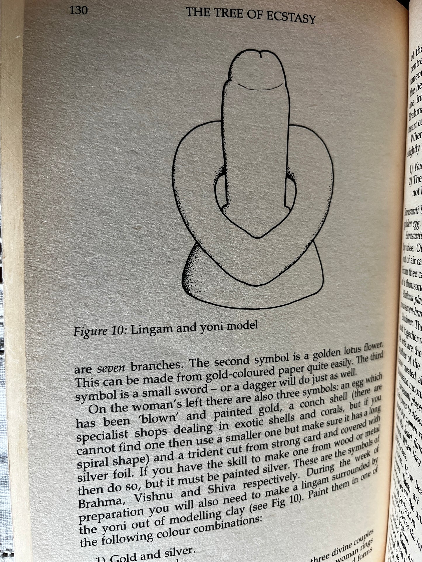 The Tree of Ecstasy: An Advanced Manual of Sexual Magic - Dolores Ashcroft-Nowicki (1991 First Edition)