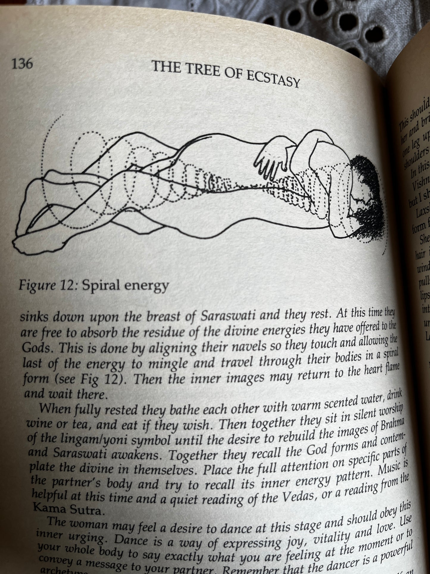 The Tree of Ecstasy: An Advanced Manual of Sexual Magic - Dolores Ashcroft-Nowicki (1991 First Edition)