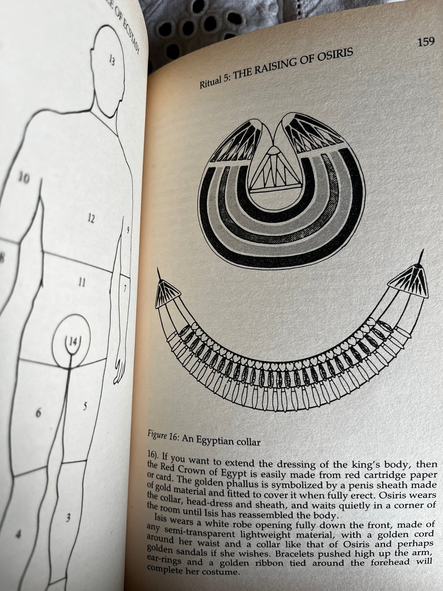 The Tree of Ecstasy: An Advanced Manual of Sexual Magic - Dolores Ashcroft-Nowicki (1991 First Edition)