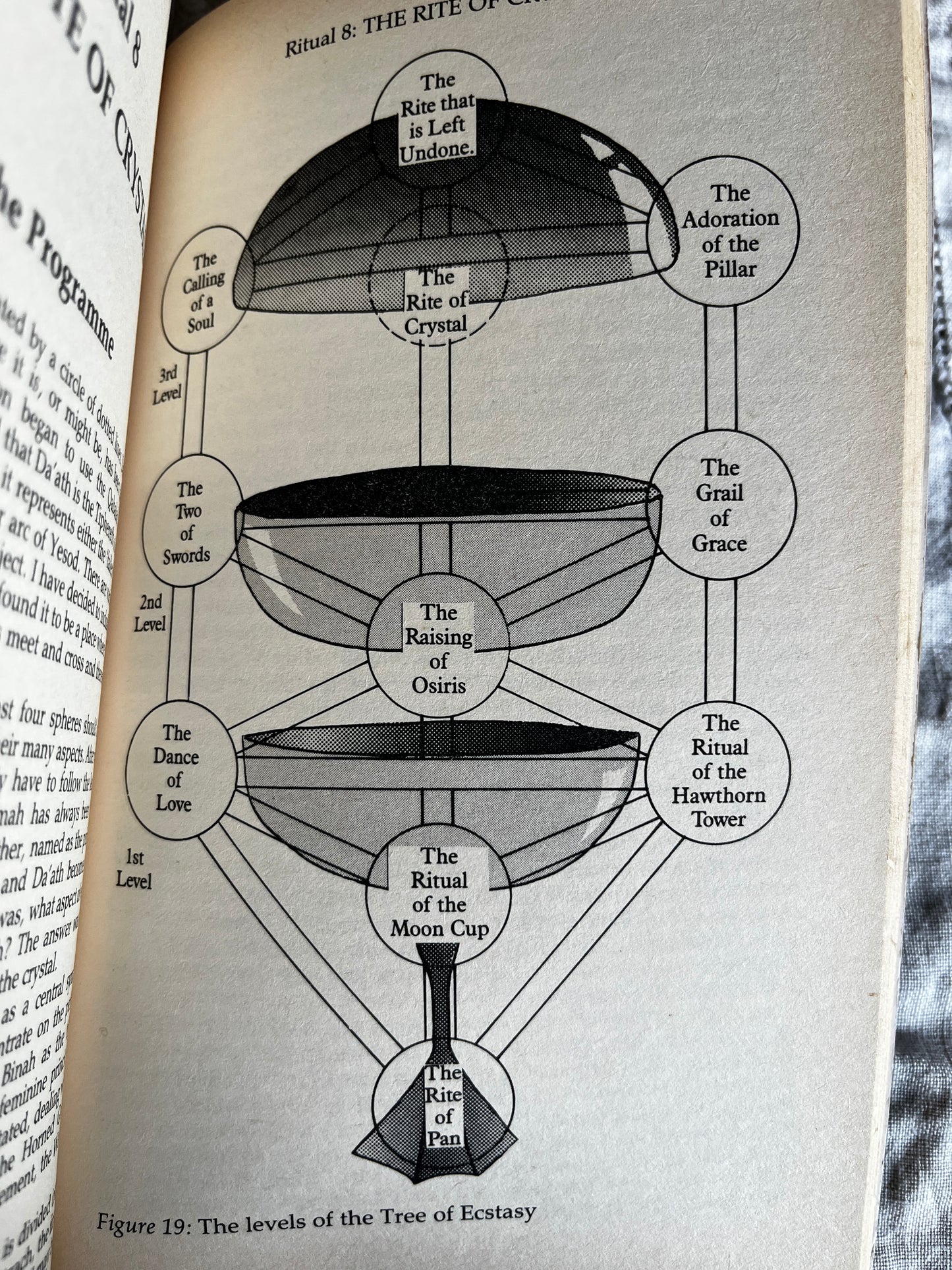 The Tree of Ecstasy: An Advanced Manual of Sexual Magic - Dolores Ashcroft-Nowicki (1991 First Edition)