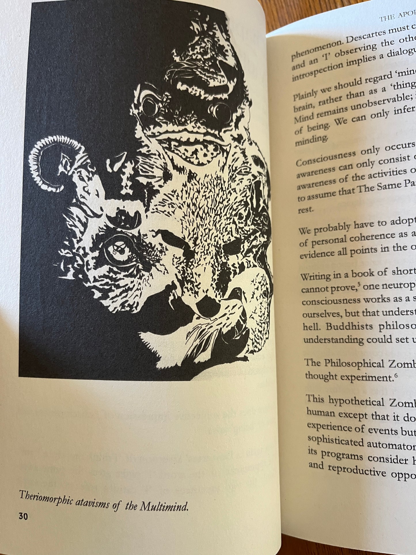 The Apophenion: A Chaos Magic Paradigm - Peter J Carroll (First Edition 2008)