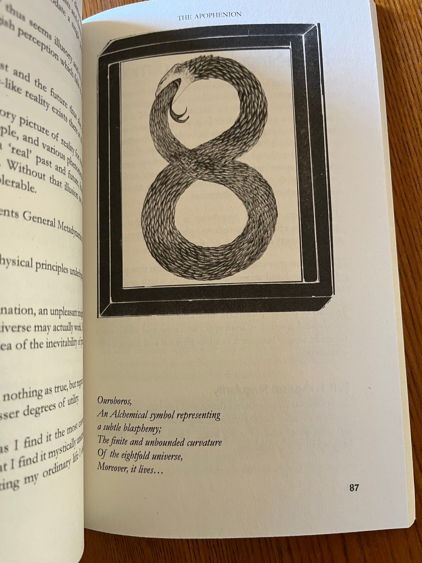 The Apophenion: A Chaos Magic Paradigm - Peter J Carroll (First Edition 2008)