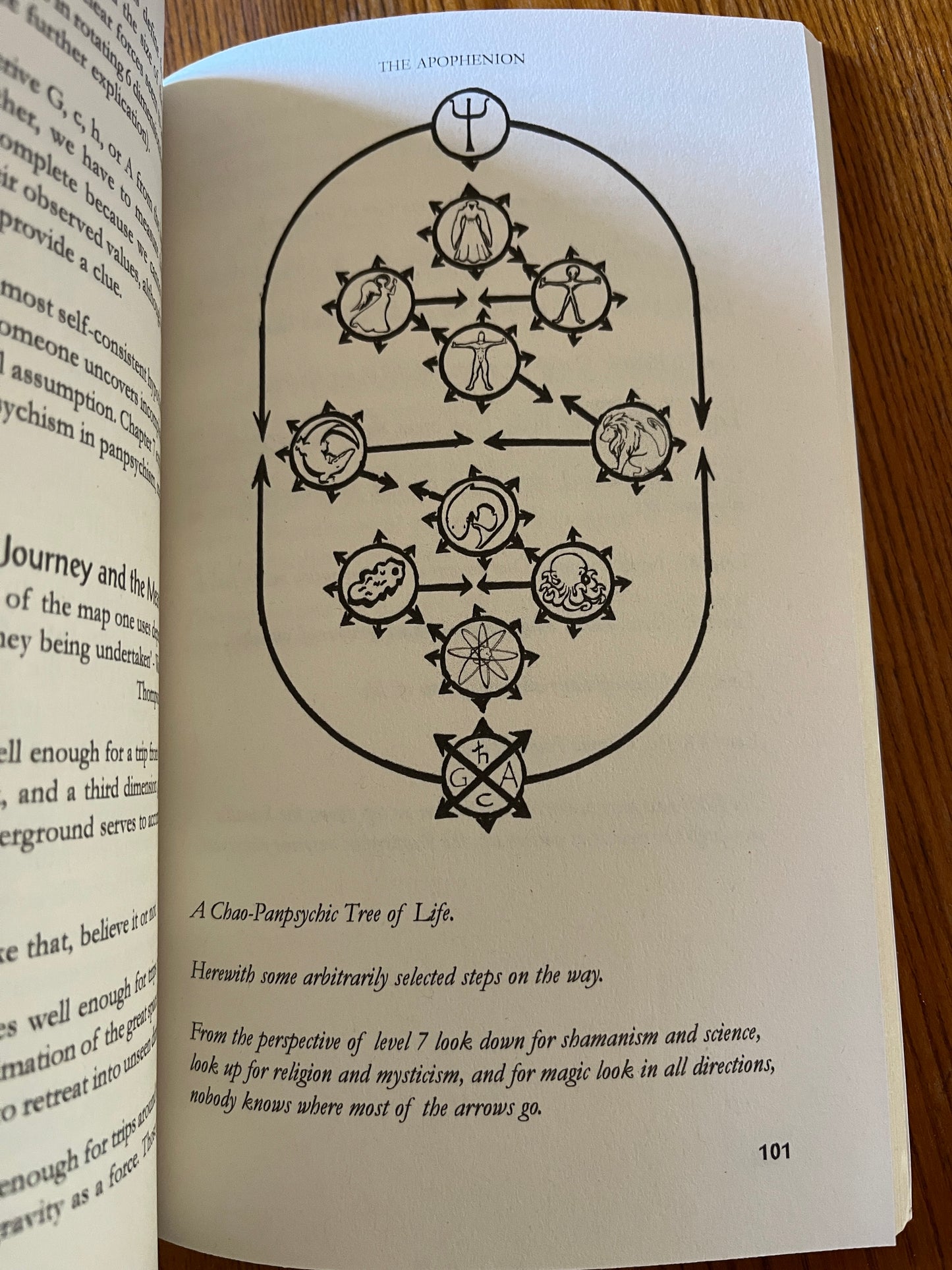 The Apophenion: A Chaos Magic Paradigm - Peter J Carroll (First Edition 2008)