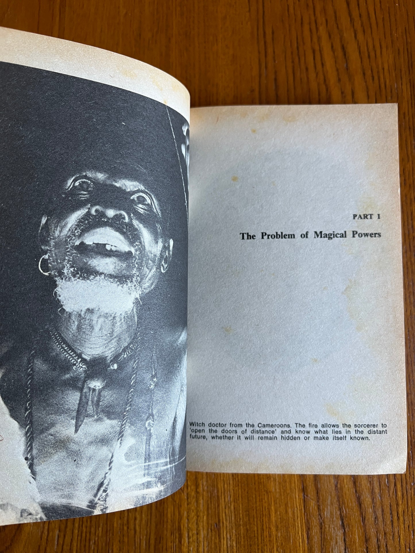Magic Primitive and Modern - Ernest de Martino