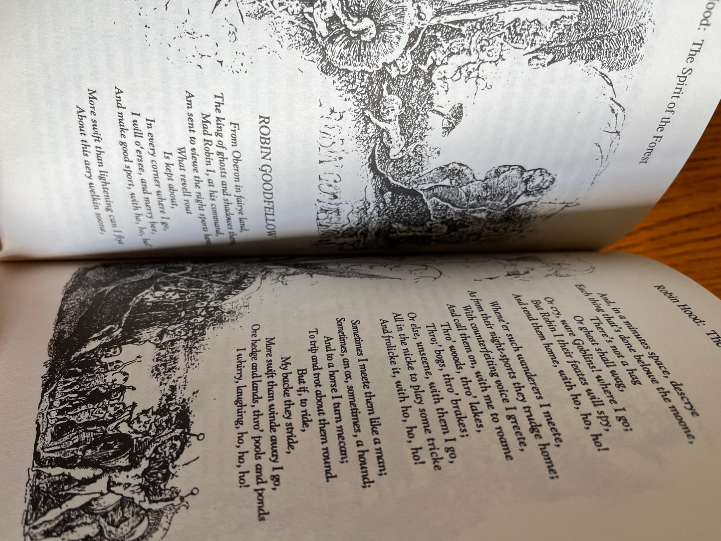 Robin Hood: The Spirit of the Forest - Steve Wilson (foreword by Alan Moore)