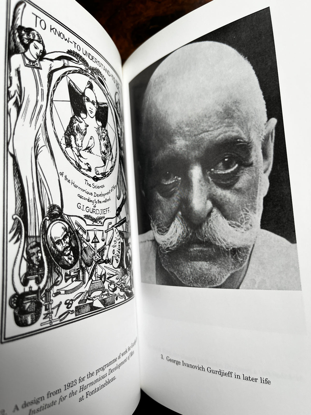 Beelzebub and the Beast: A comparative Study of Gurdjieff and Crowley - David Hall (Limited Edition)