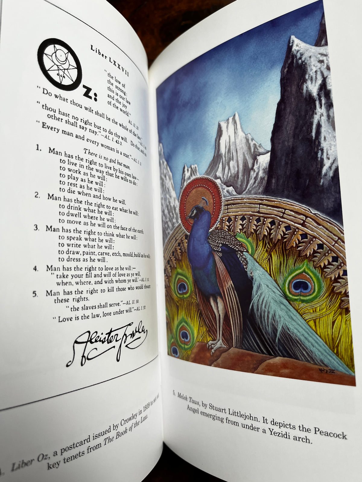 Beelzebub and the Beast: A comparative Study of Gurdjieff and Crowley - David Hall (Limited Edition)