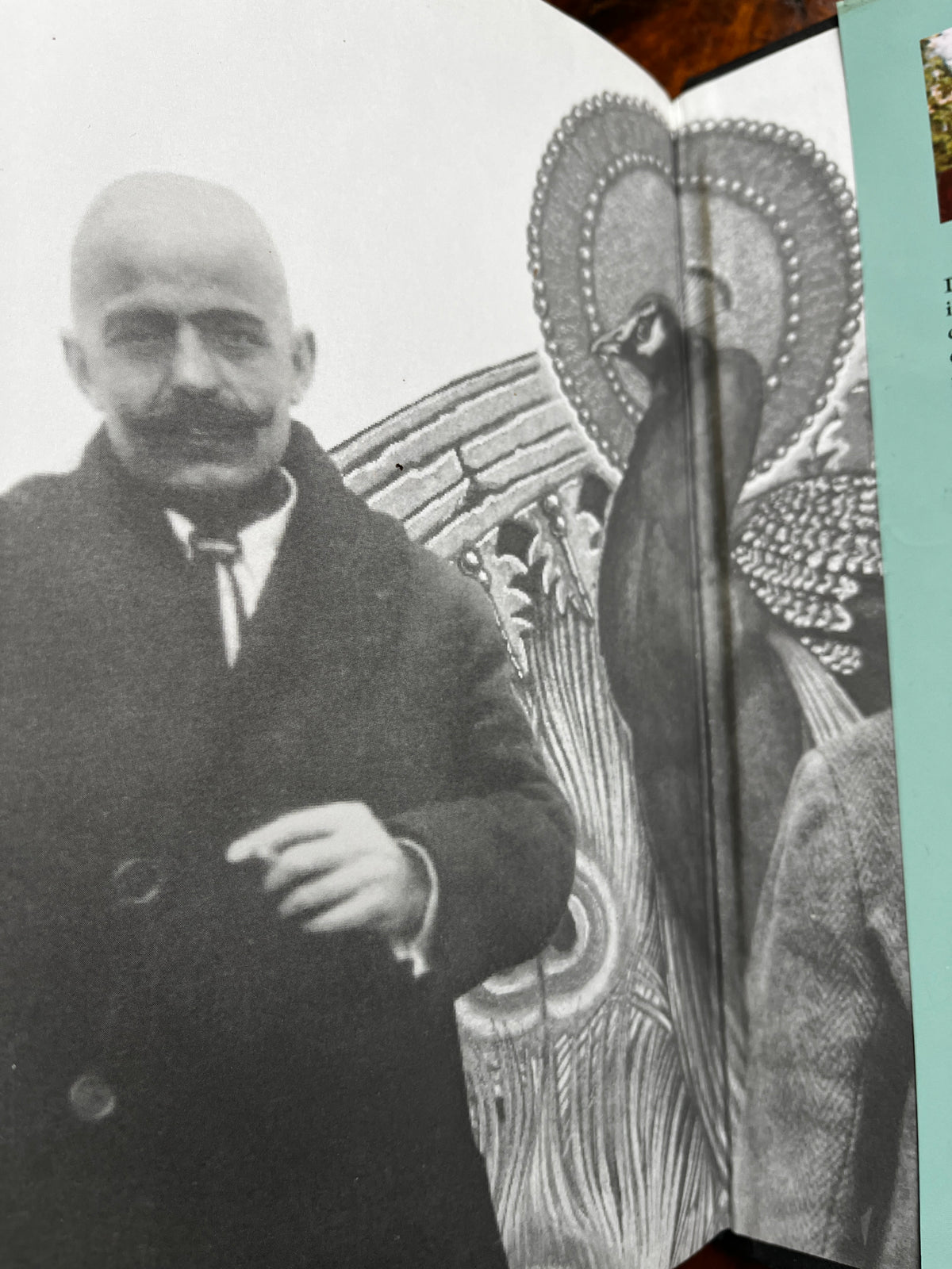 Beelzebub and the Beast: A comparative Study of Gurdjieff and Crowley - David Hall (Limited Edition)
