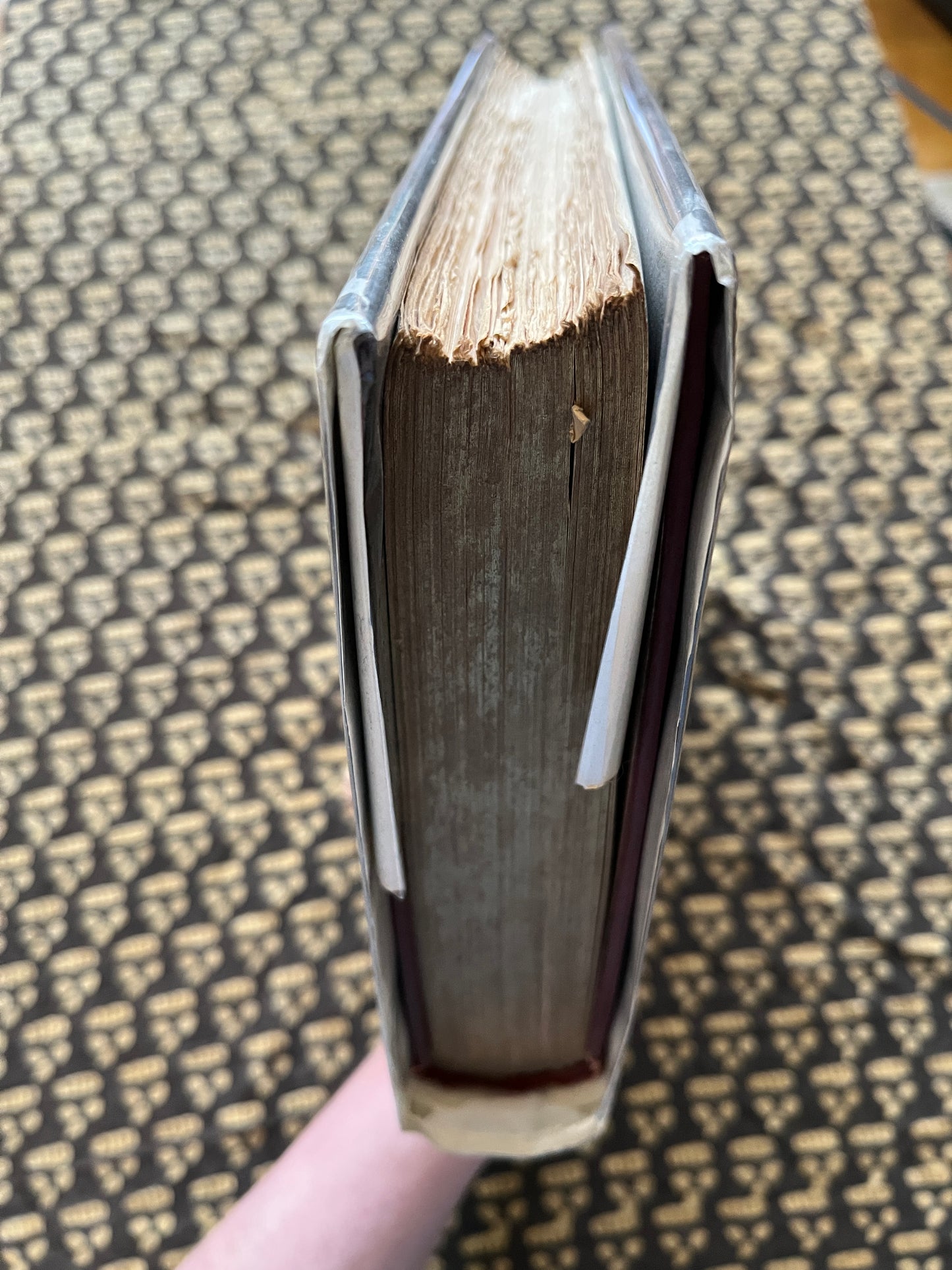 The Golden Asse of Lucius by Apuleius - trans. William Adlington