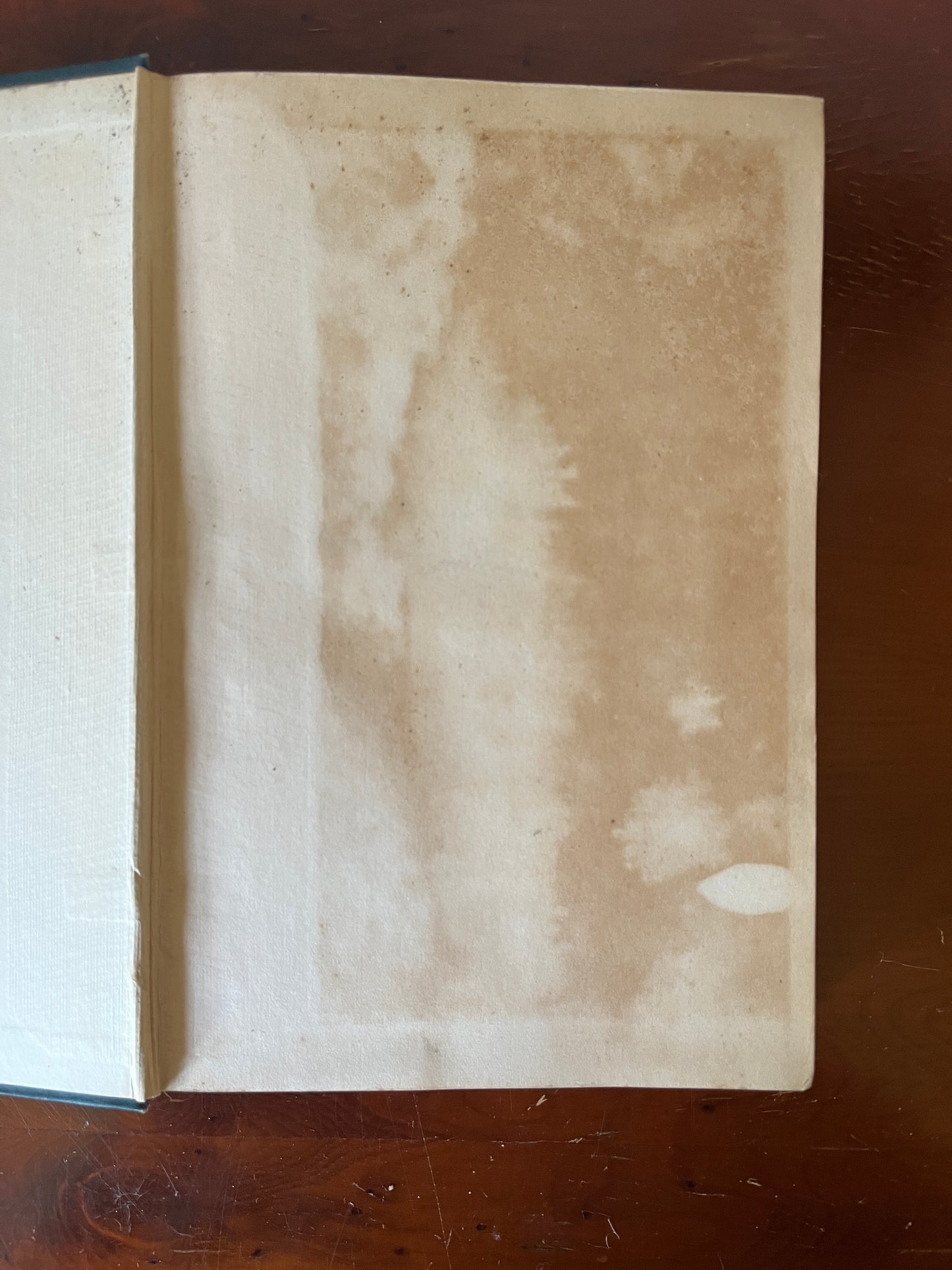 Leaves from The Golden Bough - Lady Lilly Frazer (First Edition)