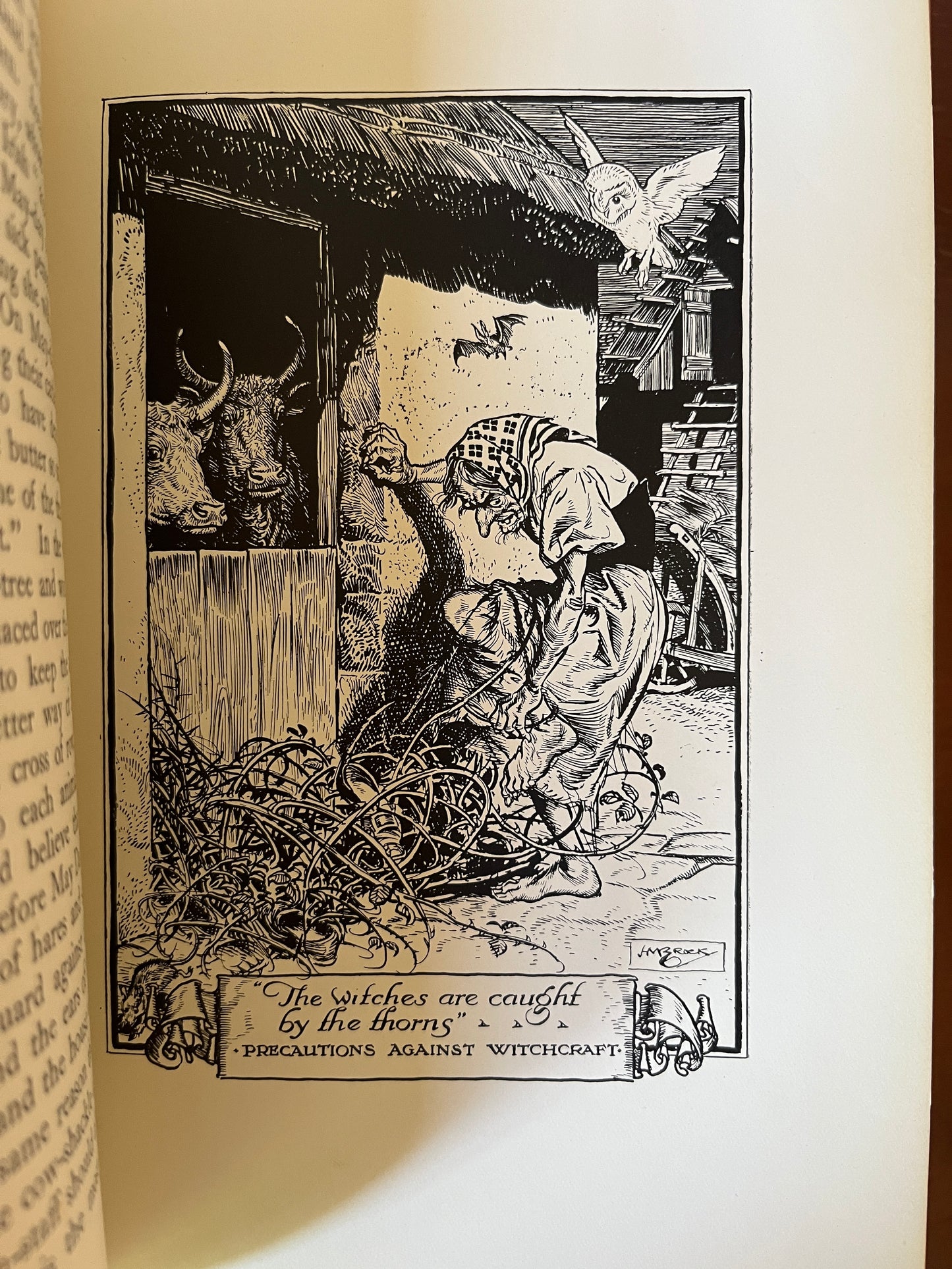 Leaves from The Golden Bough - Lady Lilly Frazer (First Edition)