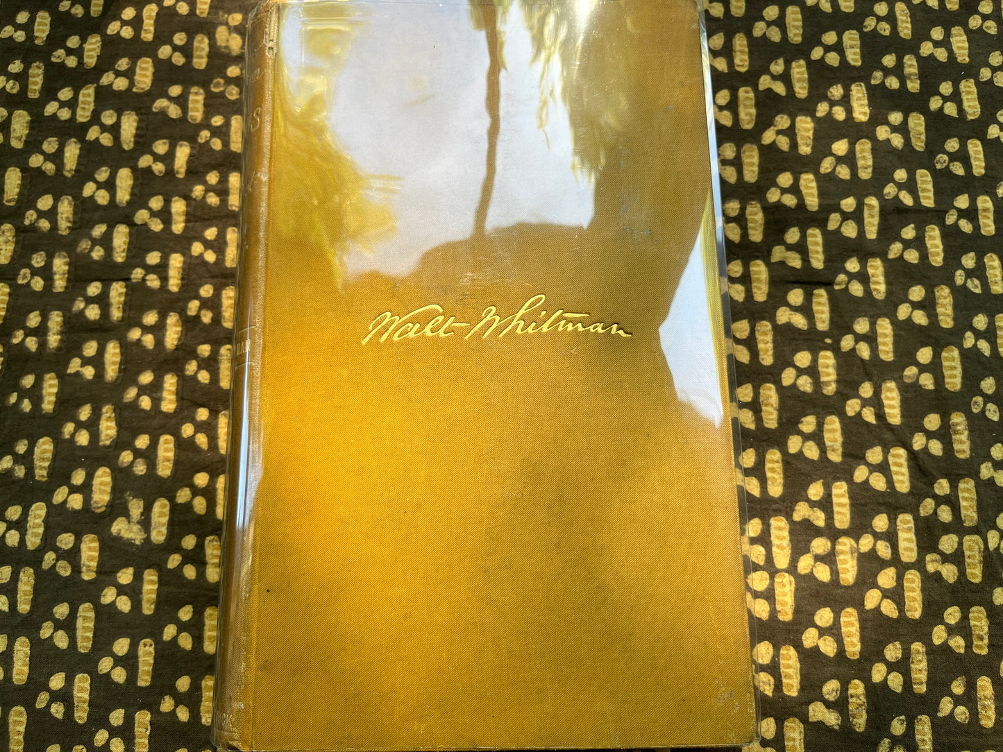 Specimen Days & Collect - Walt Whitman