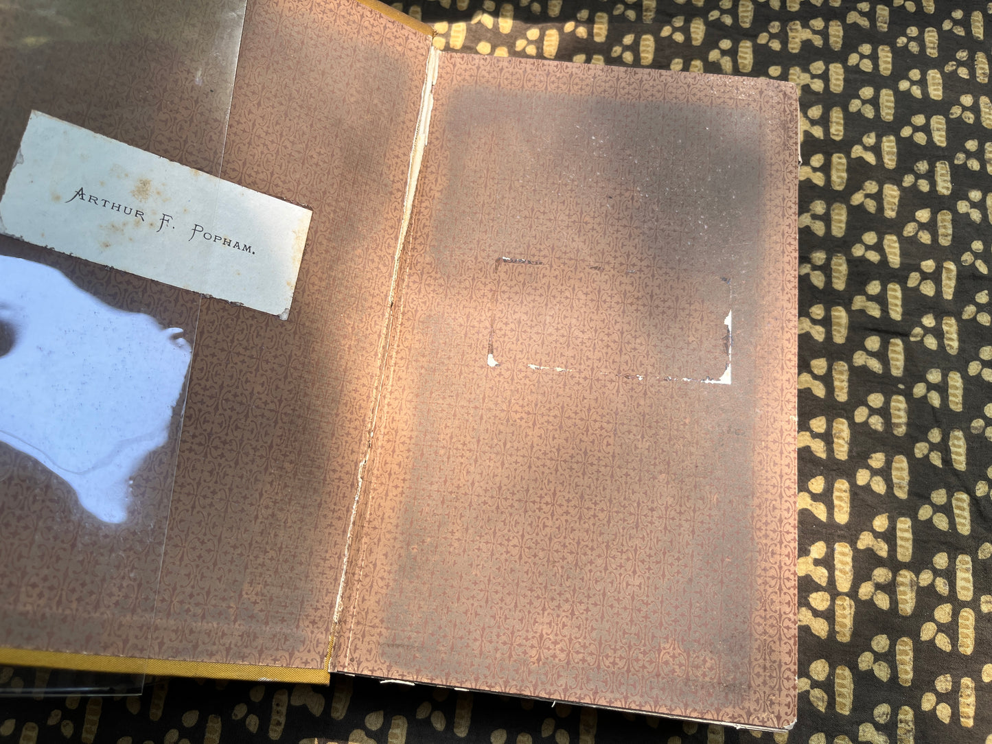 Specimen Days & Collect - Walt Whitman