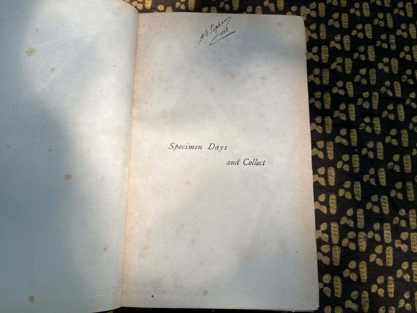 Specimen Days & Collect - Walt Whitman