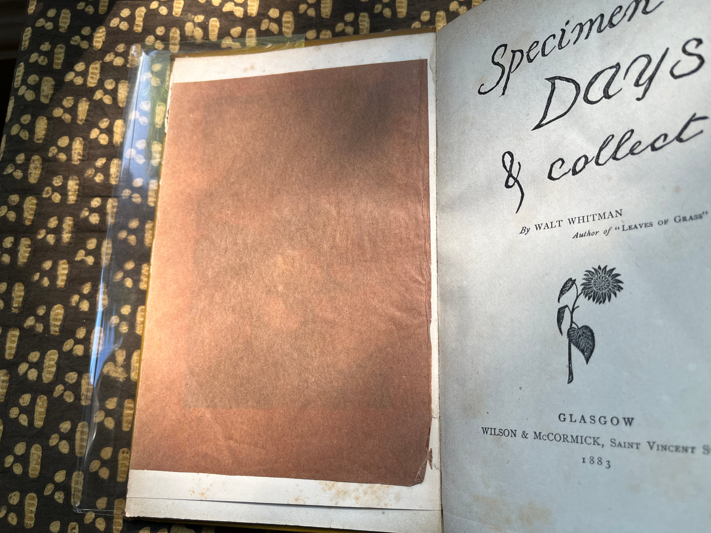 Specimen Days & Collect - Walt Whitman