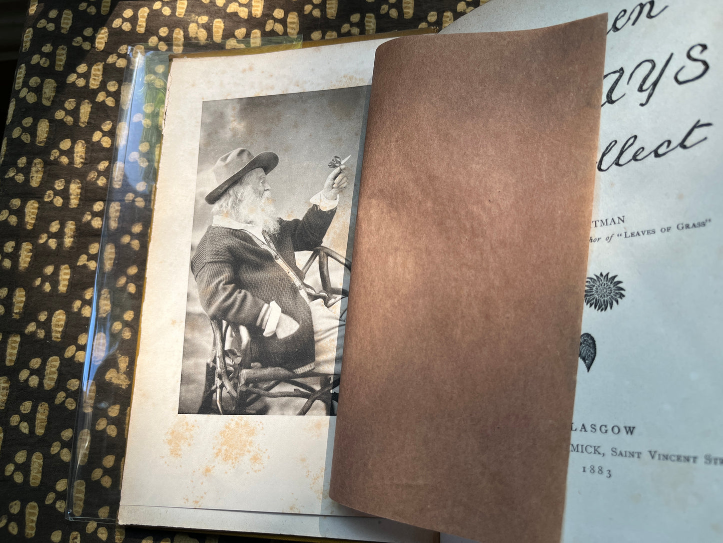 Specimen Days & Collect - Walt Whitman