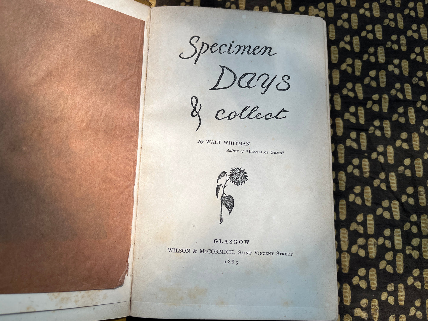 Specimen Days & Collect - Walt Whitman