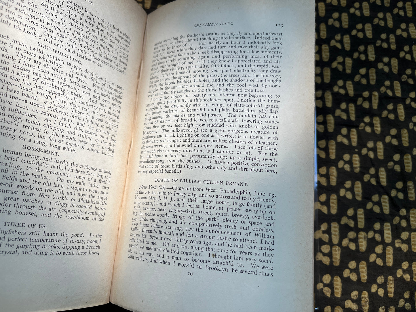 Specimen Days & Collect - Walt Whitman