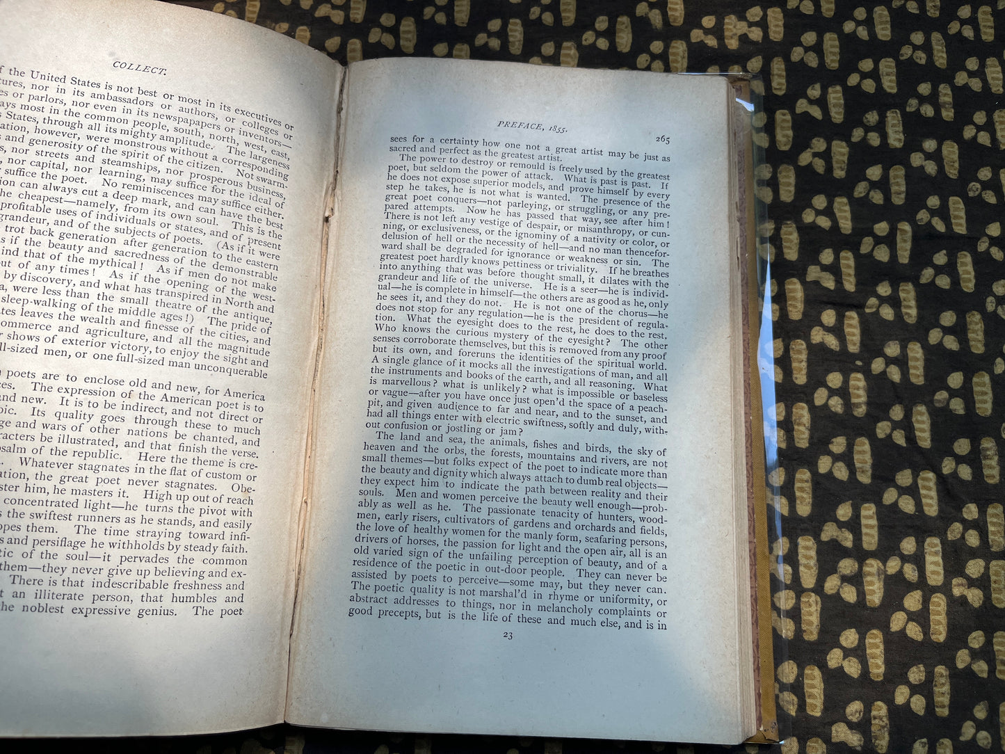 Specimen Days & Collect - Walt Whitman