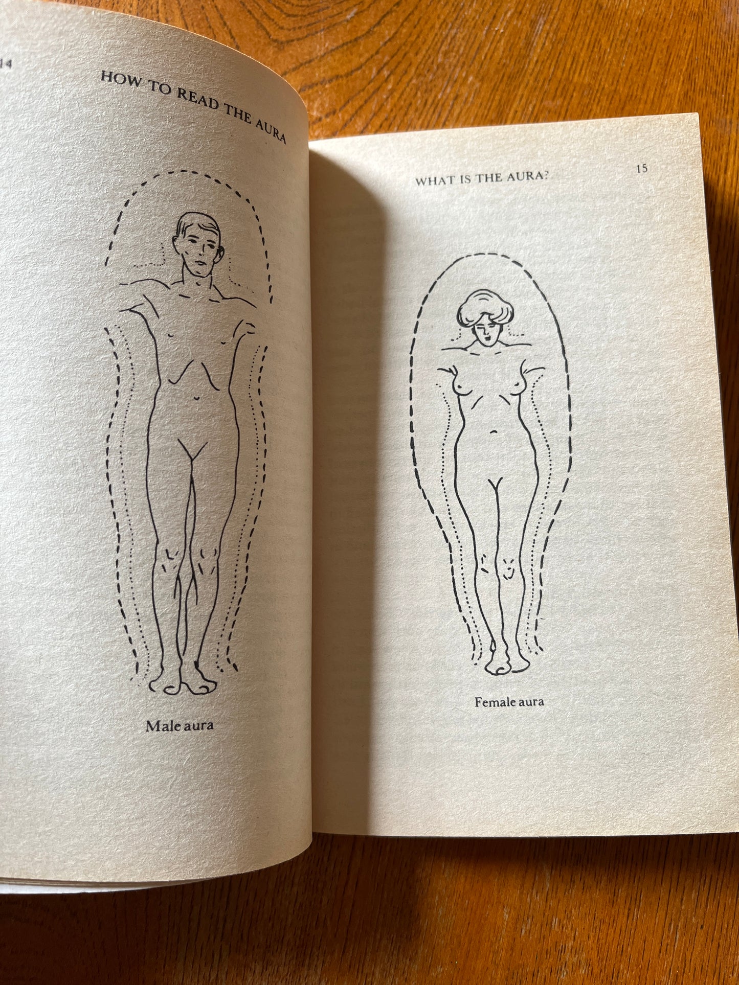 How to Read the Aura - W E Butler