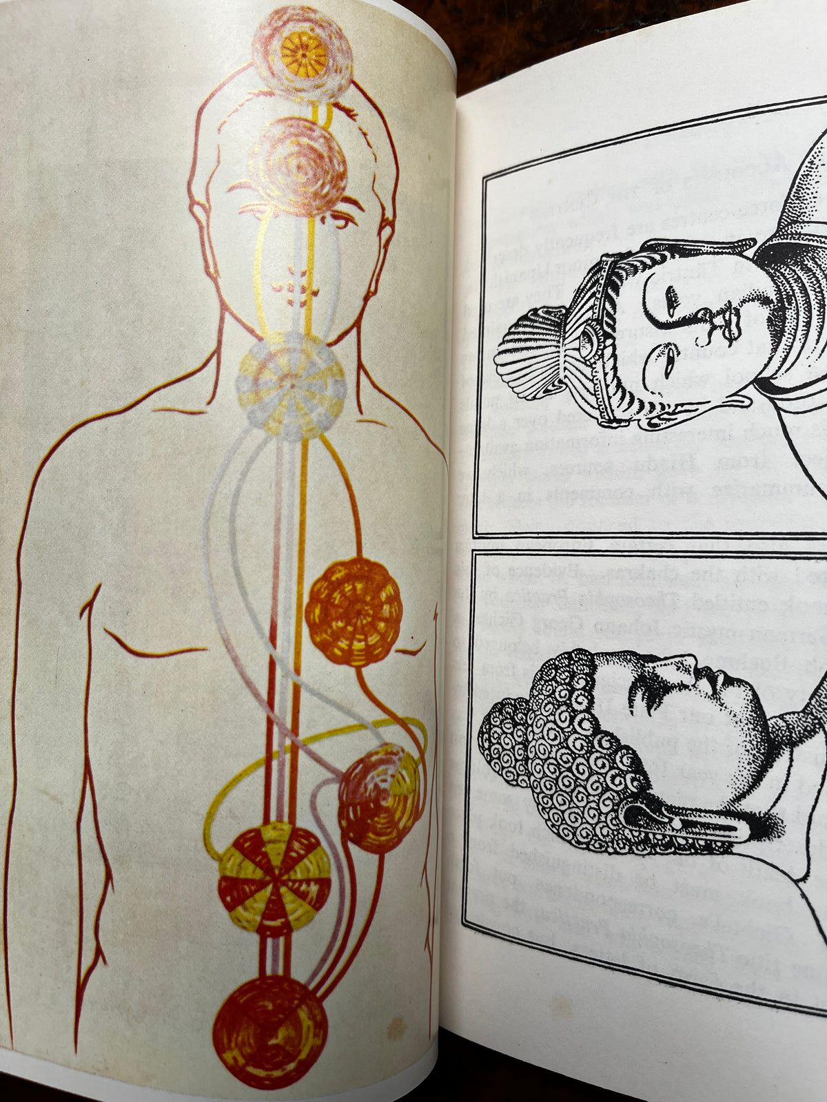 The Chakras - C W Leadbeater