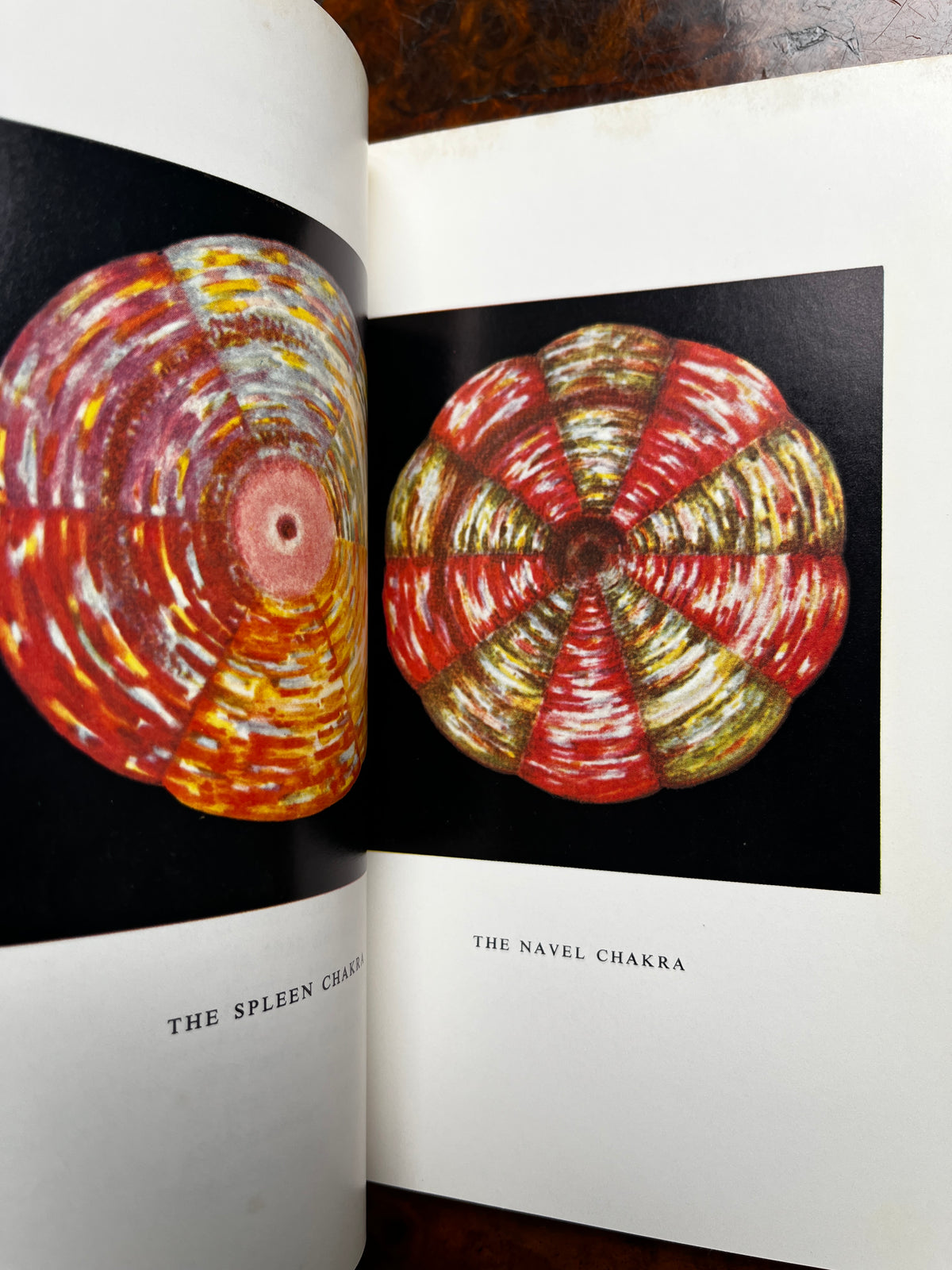 The Chakras - C W Leadbeater