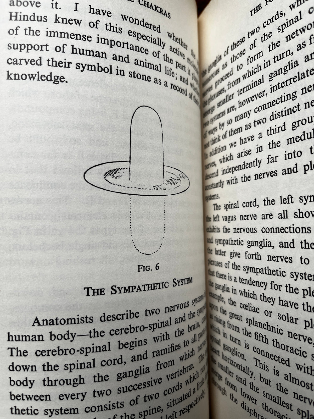 The Chakras - C W Leadbeater