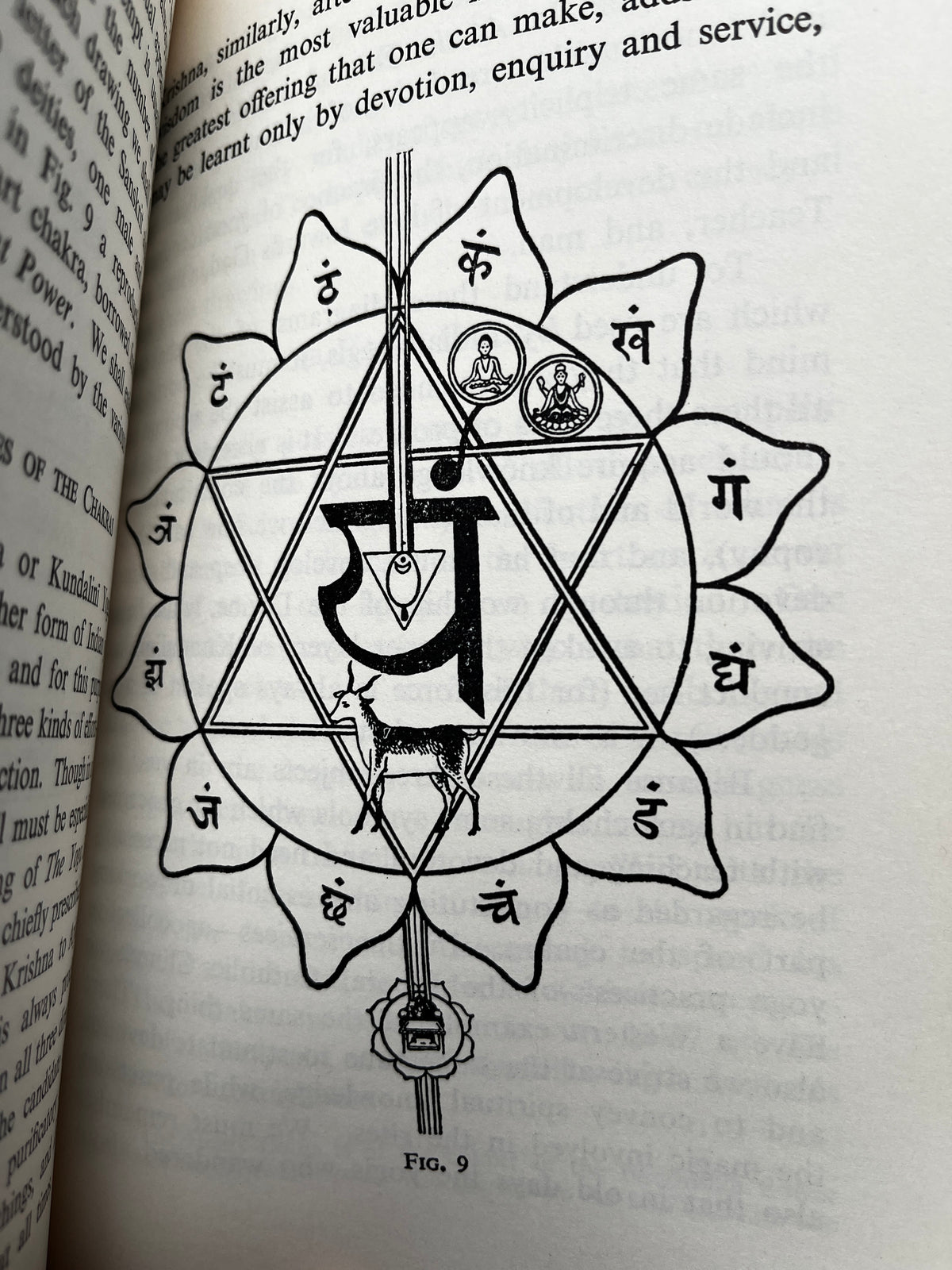 The Chakras - C W Leadbeater