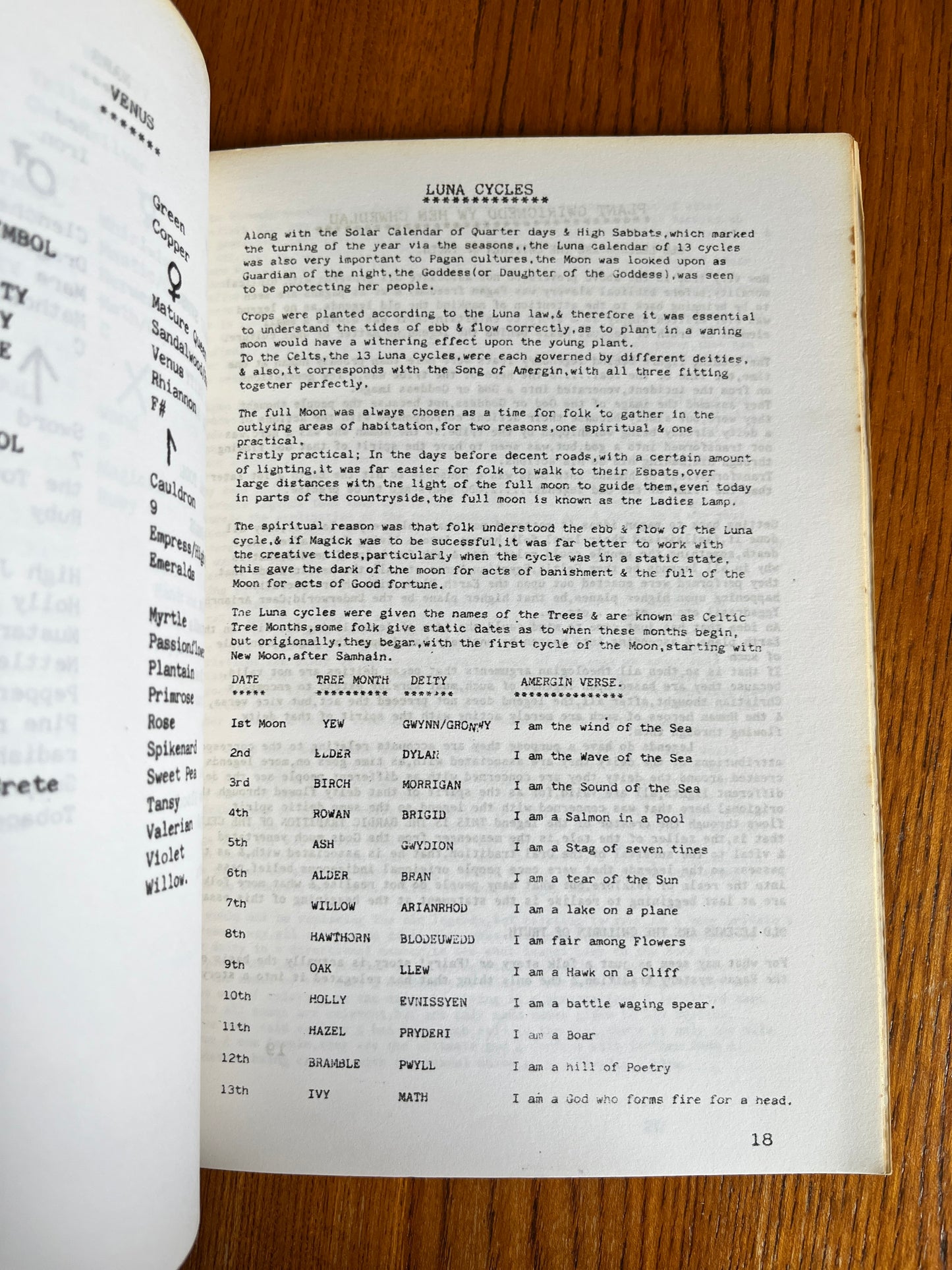 Traditional Wicca - Keith Morgan (RARE ZINE)