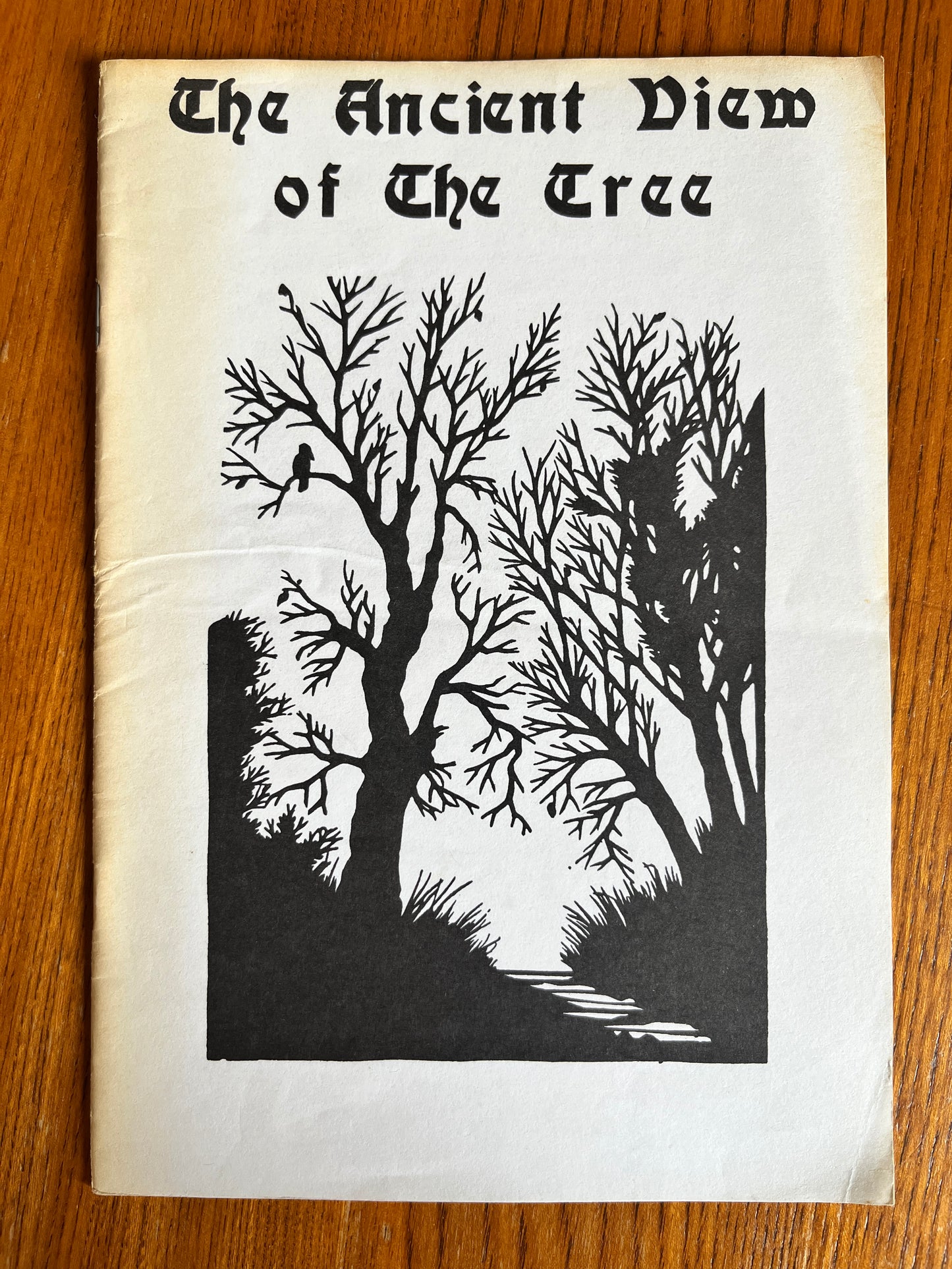The Ancient View of the Tree - Chris Bray (RARE PAGAN ZINE)