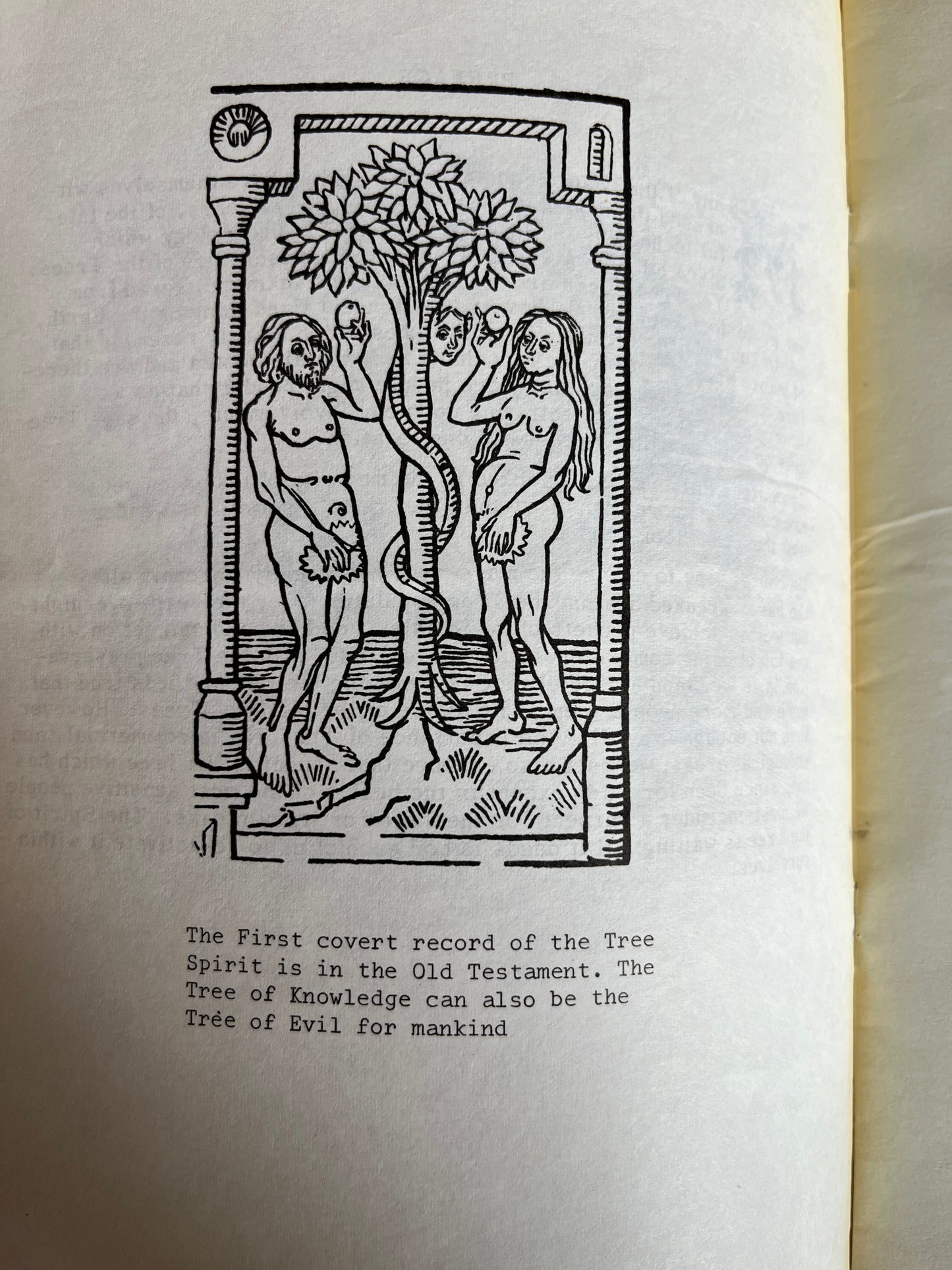 The Ancient View of the Tree - Chris Bray (RARE PAGAN ZINE)