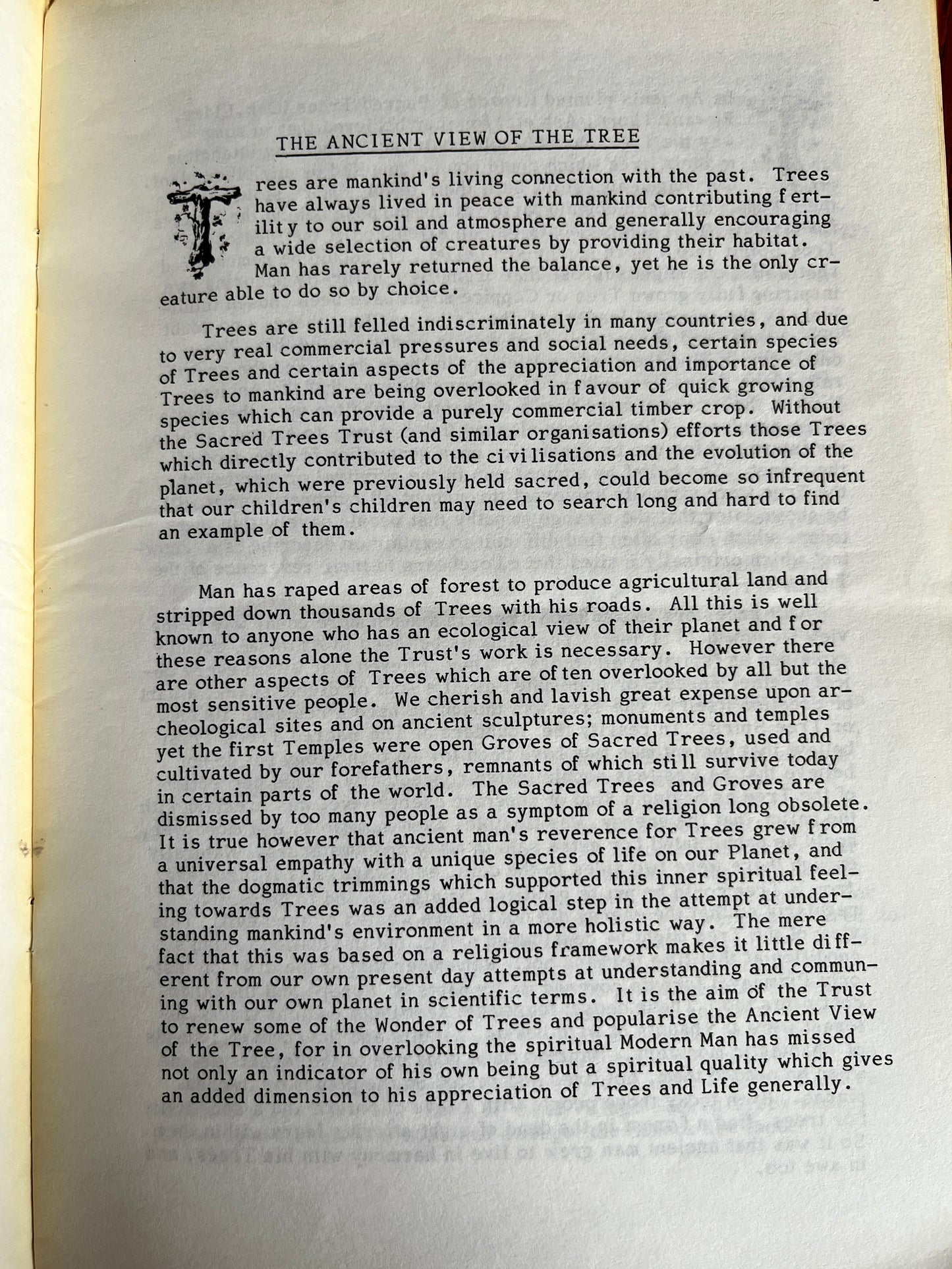The Ancient View of the Tree - Chris Bray (RARE PAGAN ZINE)
