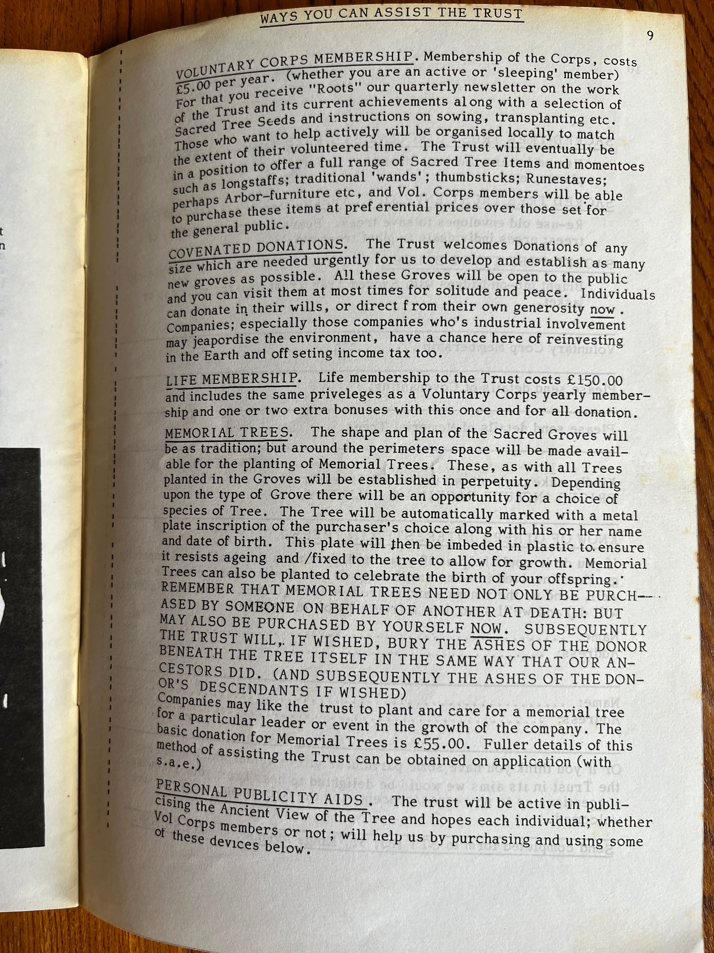 The Ancient View of the Tree - Chris Bray (RARE PAGAN ZINE)