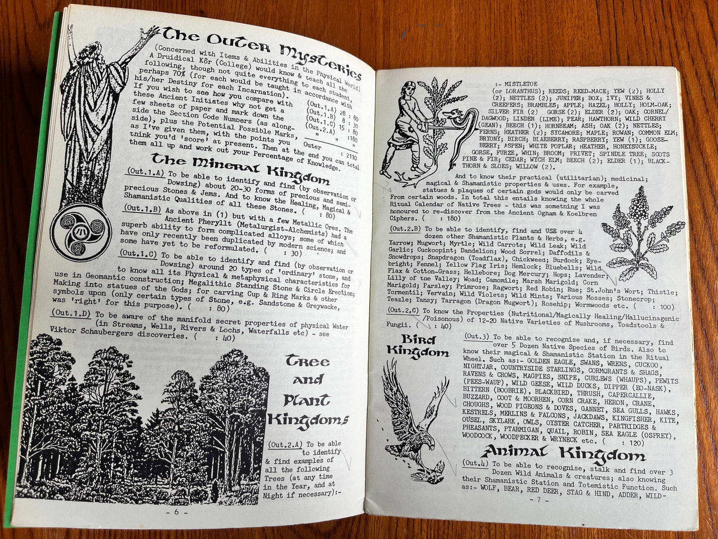 Druidism: An Assessment - Kaledon Naddair (RARE ZINE)