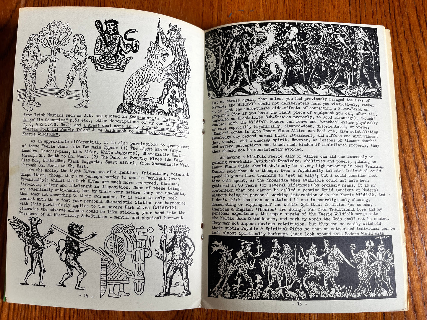 Druidism: An Assessment - Kaledon Naddair (RARE ZINE)